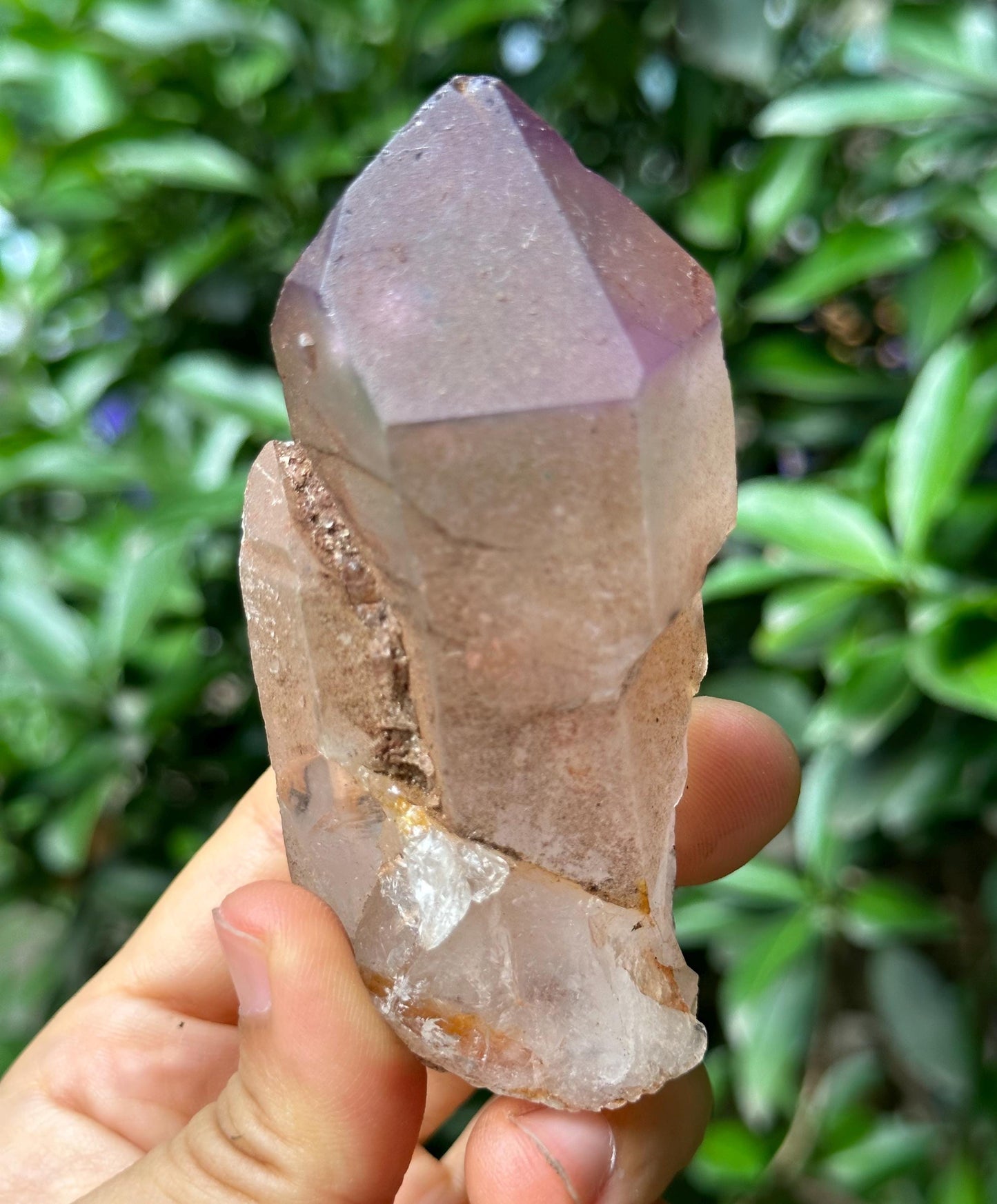 Clear Scepter Amethyst Quartz Crystal/Energy Quartz/Meditation/Healing Crystal/Crystal Wand-175 g