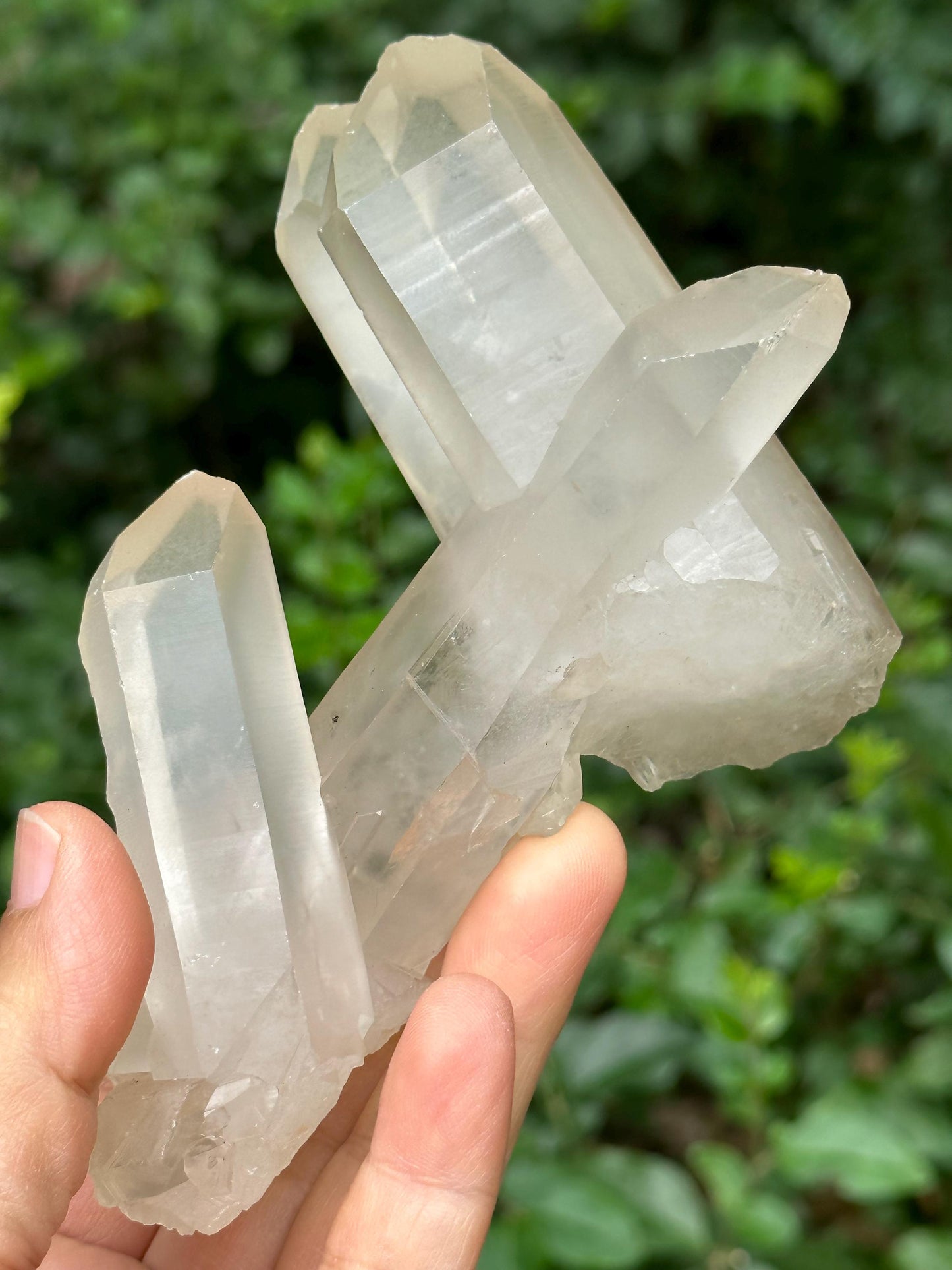 Rare Unique Tantric Twins Quartz Bridge Crystal Time Links+Transmitter Crystal Cluster/Energy Quartz/Meditation/Healing Crystal-309 g