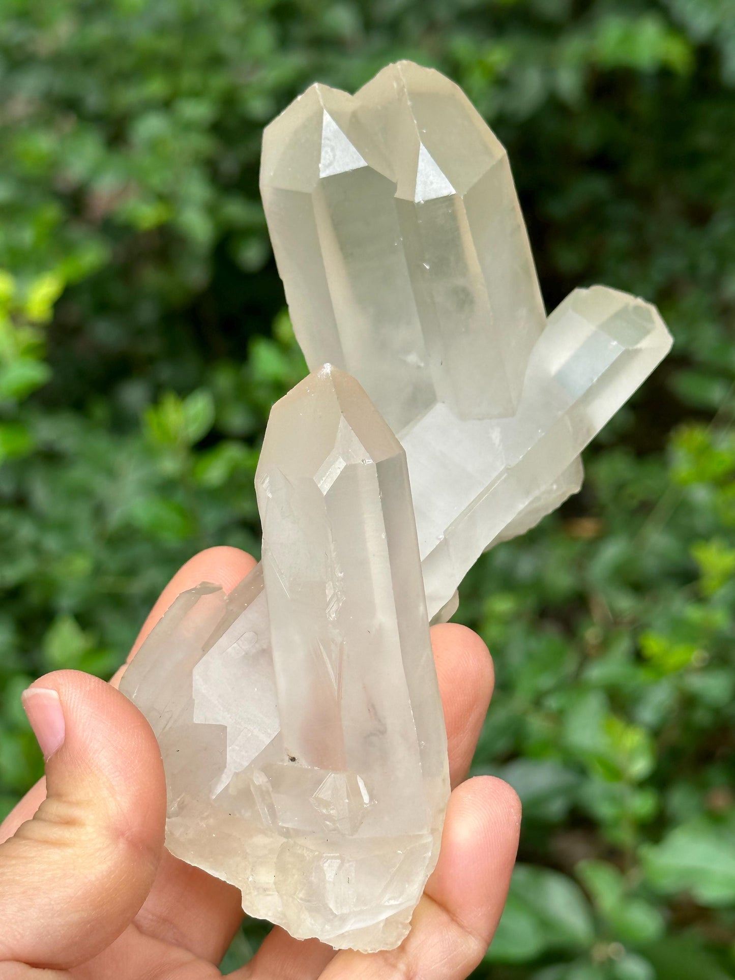 Rare Unique Tantric Twins Quartz Bridge Crystal Time Links+Transmitter Crystal Cluster/Energy Quartz/Meditation/Healing Crystal-309 g