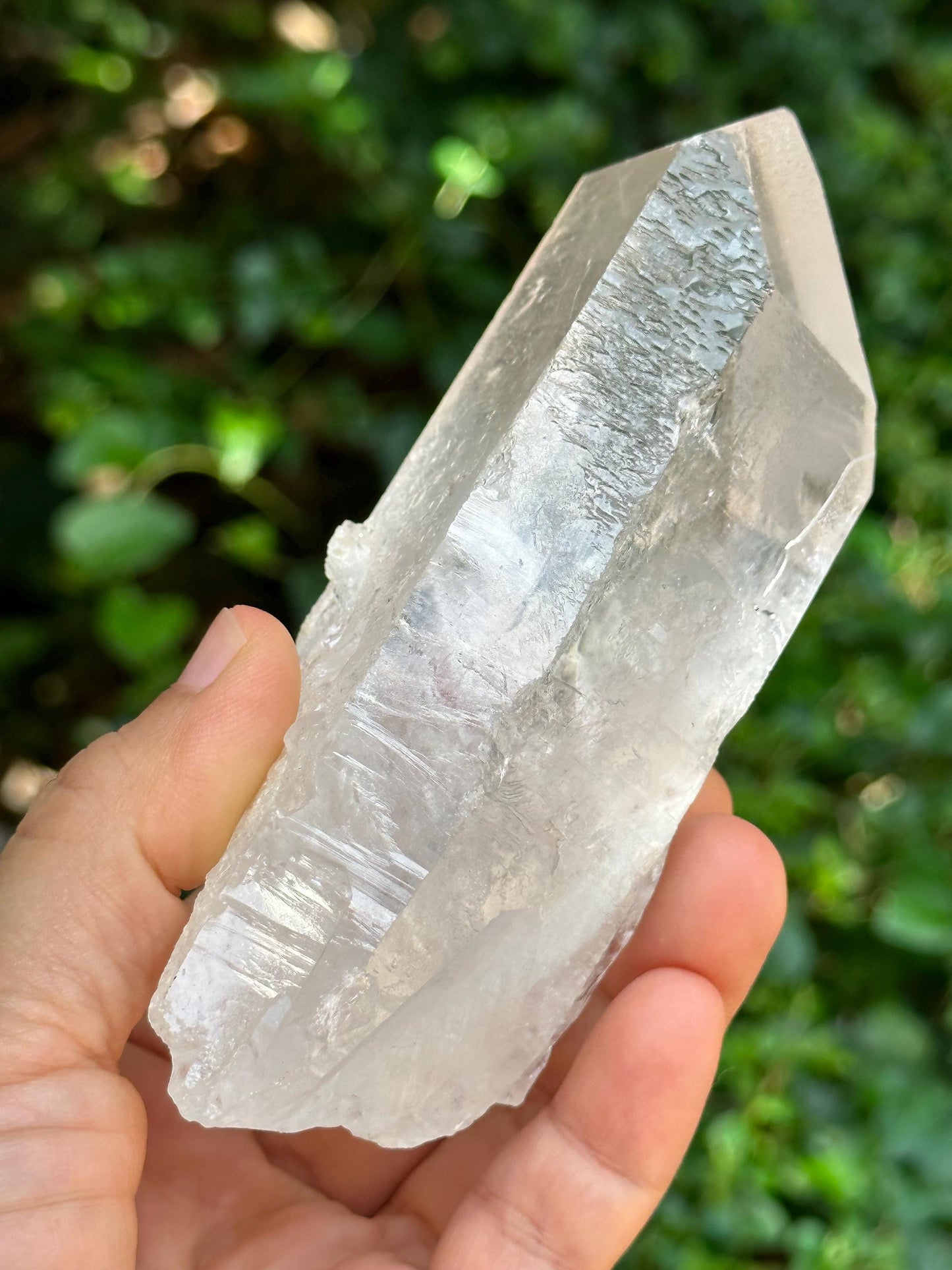 Rare Clear Himalayan Record-keeper Starbrary Quartz Crystal/Transmitter Energy Crystal/Reiki/Healing Crystal/Meditation-289 g