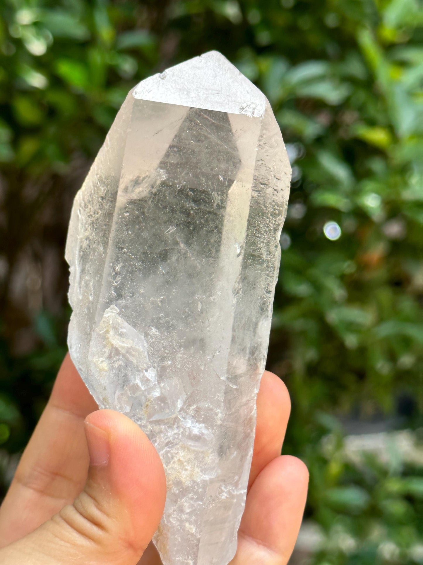 Rare Clear Himalayan Record-keeper Starbrary Quartz Crystal/Transmitter Energy Crystal/Reiki/Healing Crystal/Meditation-289 g