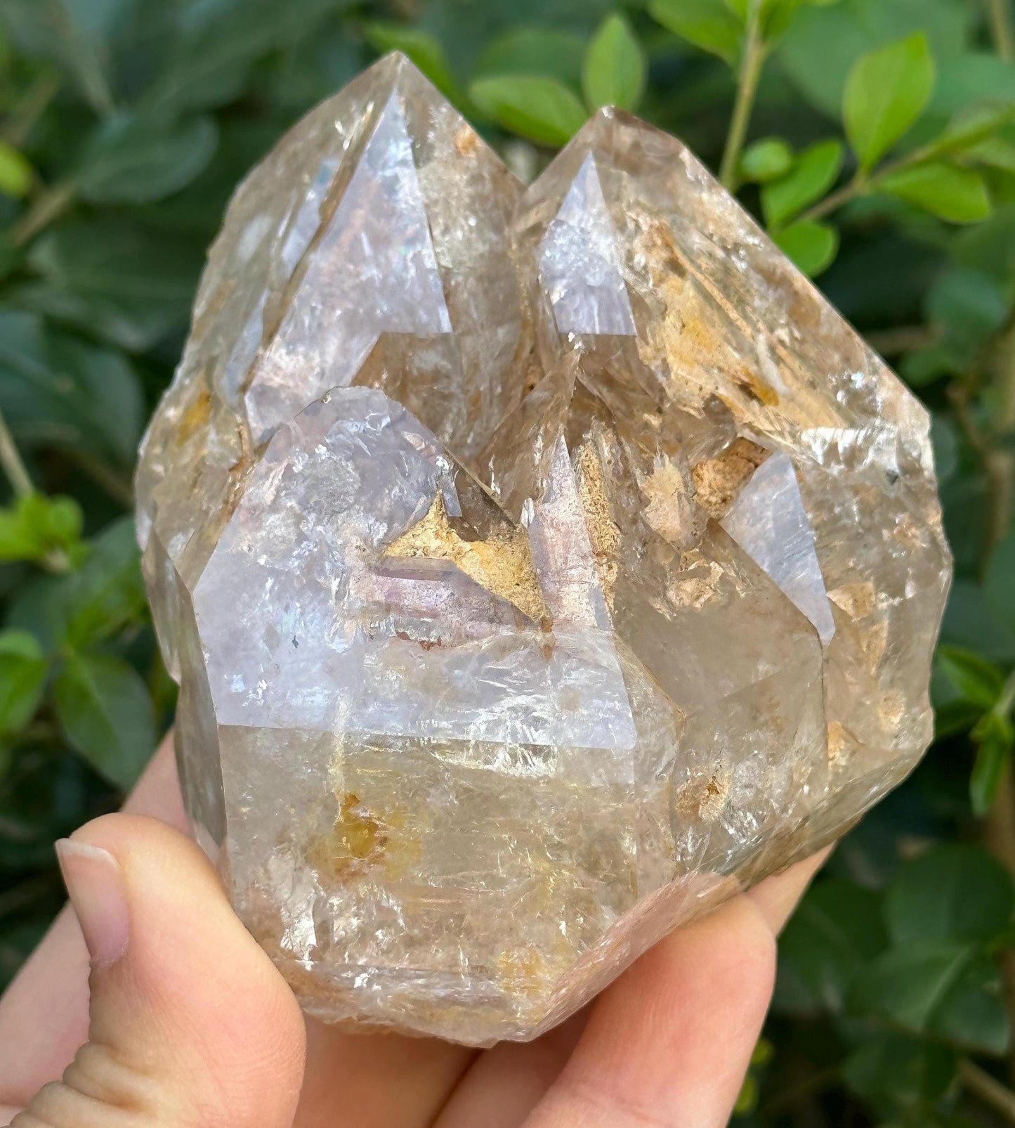 307 g Clear Himalayan Record-keeper Skeletal Quartz Fenster Crystal Cluster/Energy Crystal/Inclusion Quartz/Crystal Healing