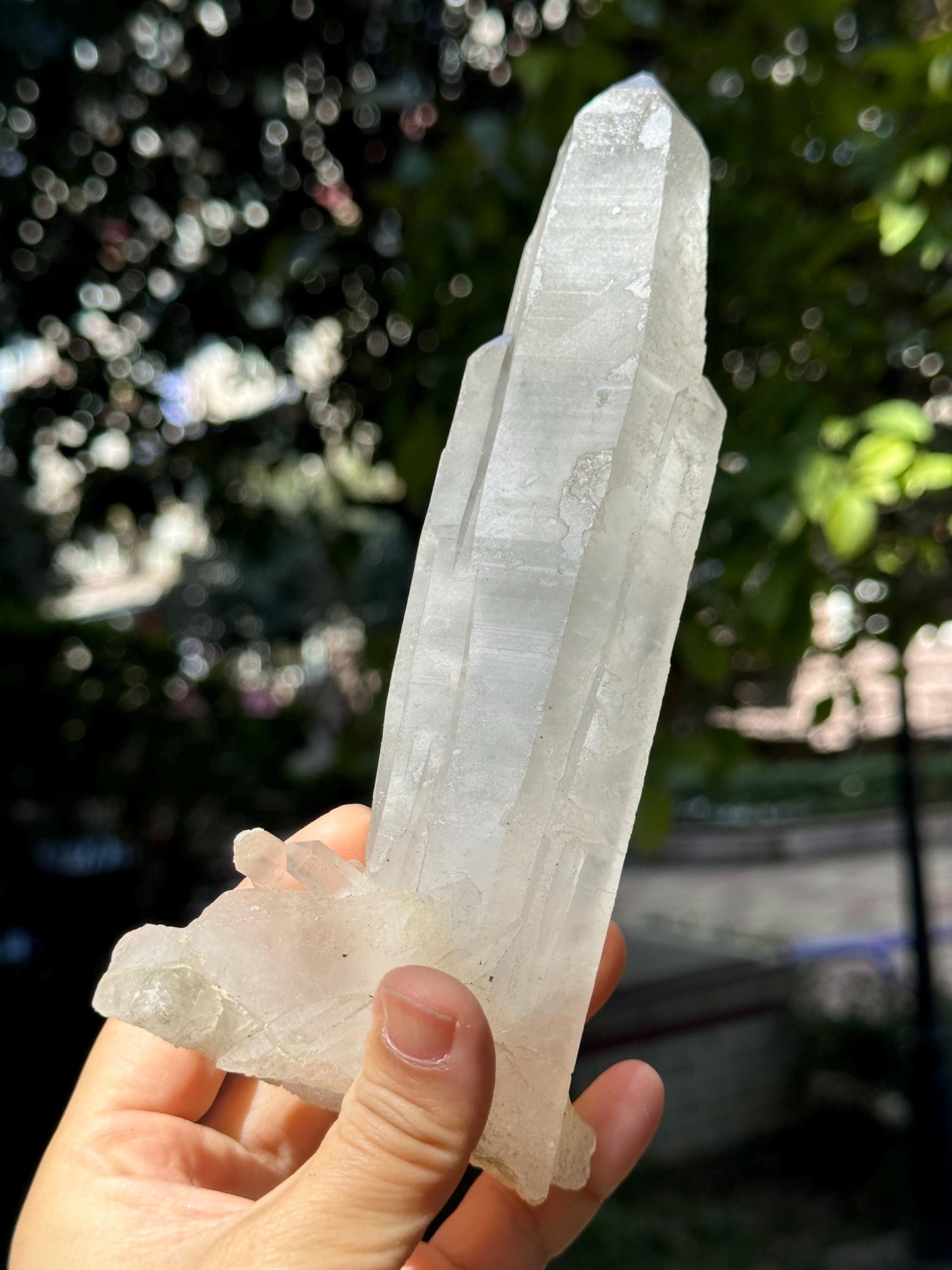 Rare Mongolian Low Temperature Quartz Laser Crystal/Twins Quartz Crystal/Healing Crystal/Energy Quartz/Meditation-536 g