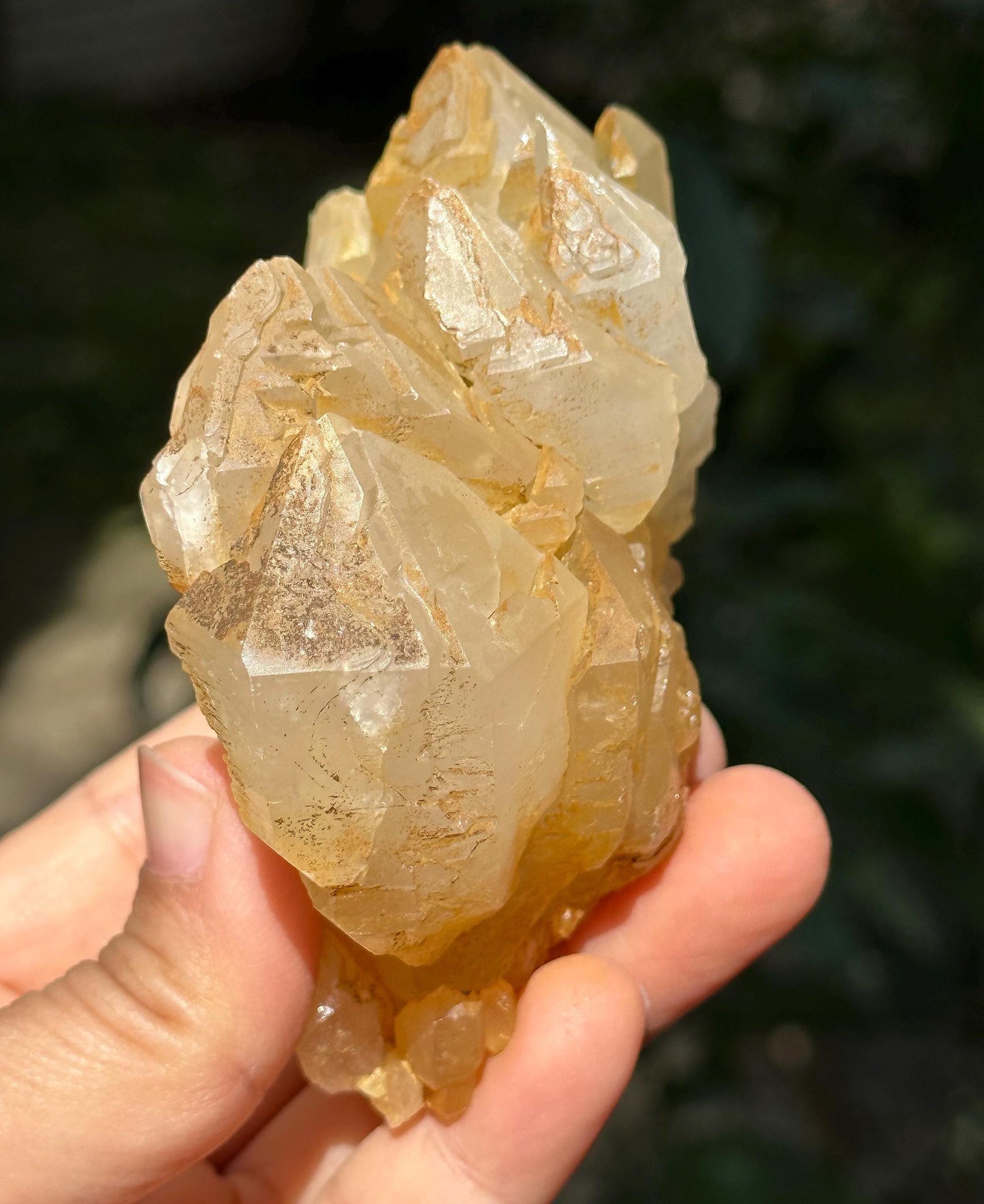 Rare Golden Himalayan Quartz Skeletal Crystal Cluster/Tibet Energy Crystal/Crystal Reiki/Healing/Meditation/Crystal Collection/Specimen-256g