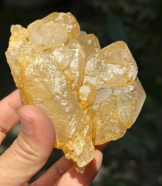 Rare Golden Himalayan Quartz Skeletal Crystal Cluster/Tibet Energy Crystal/Crystal Reiki/Healing/Meditation/Crystal Collection/Specimen-256g