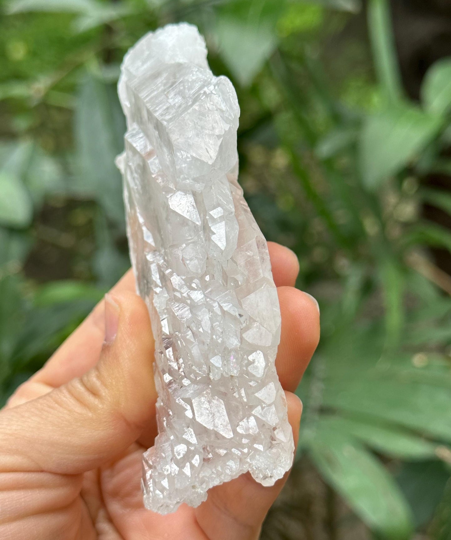 Rare Natural Faden Quartz Crystal from Columbia/Double Terminated Crystal Cluster/Crystal Healing/Meditation/Energy-174 g