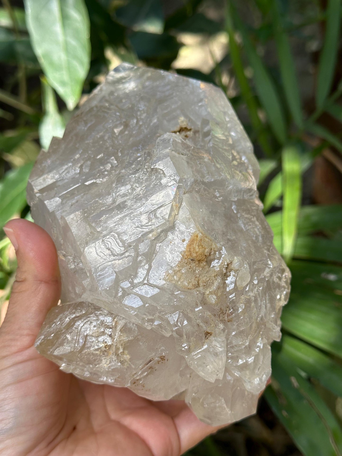 Large Himalayan Double Terminated Skeletal Quartz Single Crystal Point with Floating Crystals/Yungui Energy Crystal/Healing/Meditation-1642g