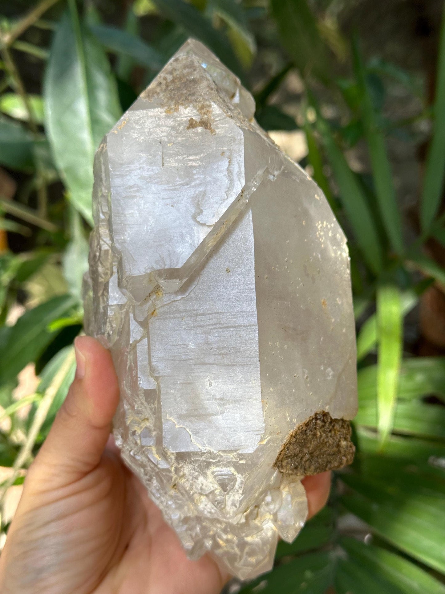 Large Himalayan Double Terminated Skeletal Quartz Single Crystal Point with Floating Crystals/Yungui Energy Crystal/Healing/Meditation-1642g