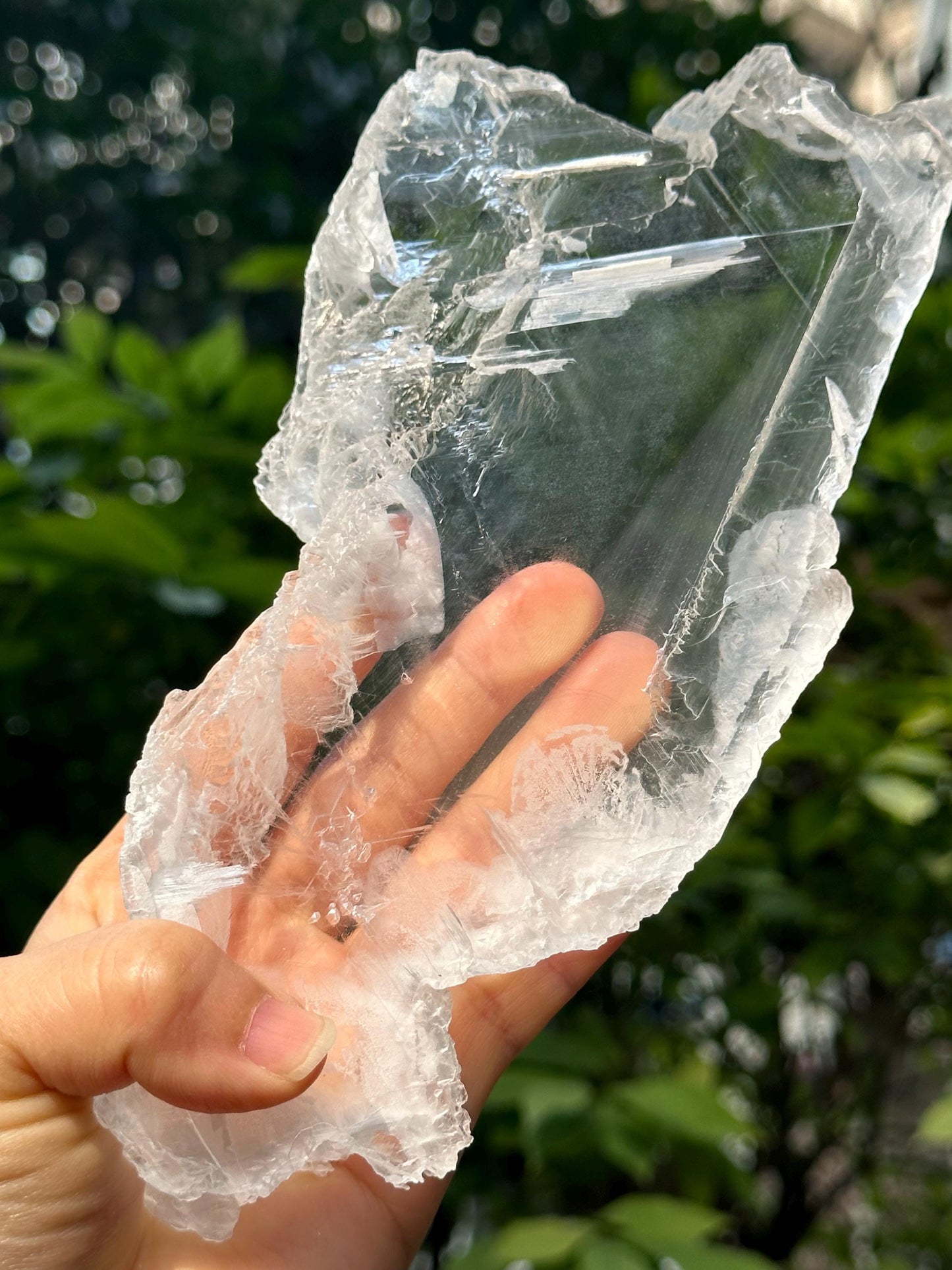 Natural Clear Gypsum Crystal Quartz Point/White Raw Selenite Crystal/Crystal Grid/Special gift/Meditation Stone/Gift for Her/Reiki-759 g