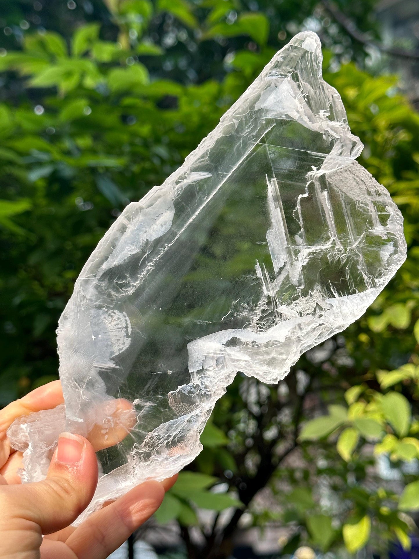 Natural Clear Gypsum Crystal Quartz Point/White Raw Selenite Crystal/Crystal Grid/Special gift/Meditation Stone/Gift for Her/Reiki-759 g