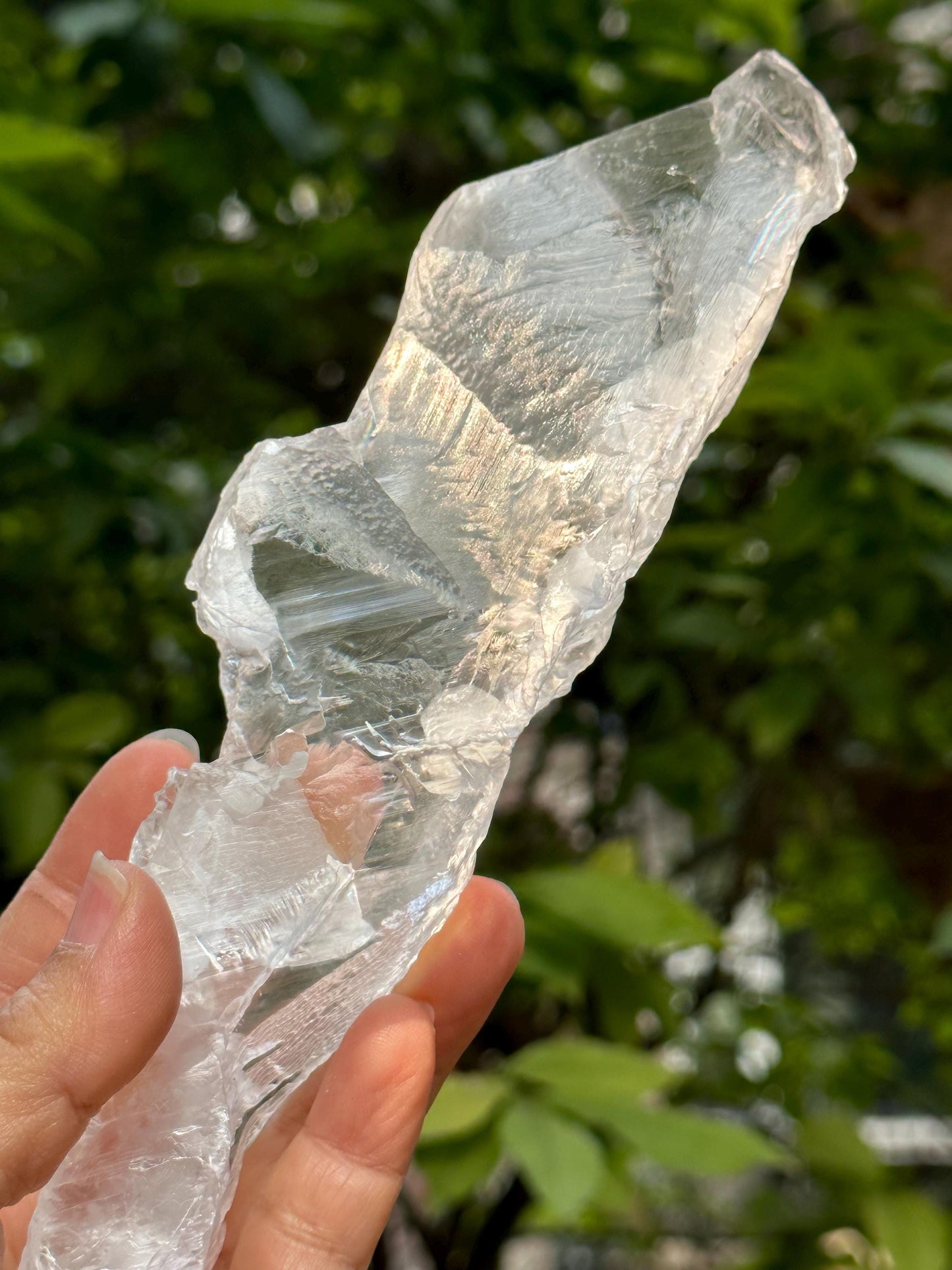 Natural Clear Corrosion Gypsum Crystal Quartz Point/White Raw Selenite Crystal/Crystal Grid/Meditation Stone/Gift for Her/Reiki-400 g