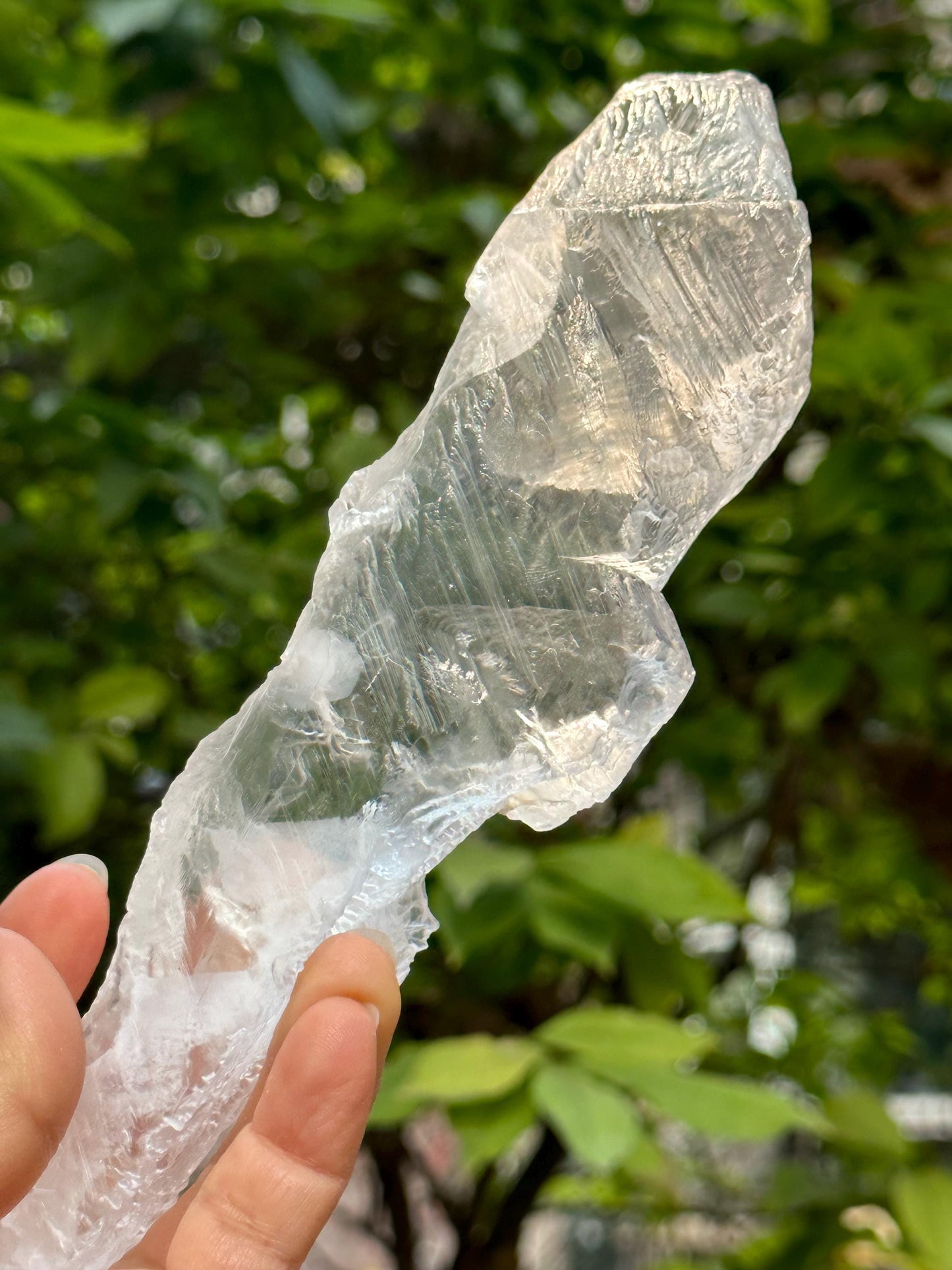 Natural Clear Corrosion Gypsum Crystal Quartz Point/White Raw Selenite Crystal/Crystal Grid/Meditation Stone/Gift for Her/Reiki-400 g