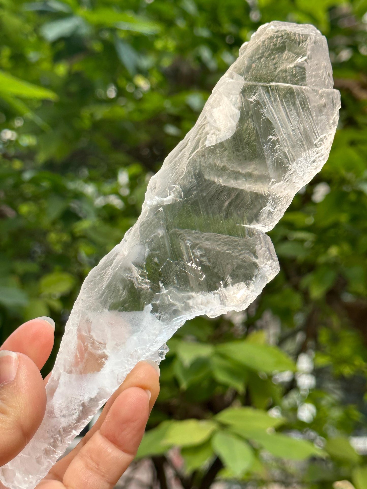 Natural Clear Corrosion Gypsum Crystal Quartz Point/White Raw Selenite Crystal/Crystal Grid/Meditation Stone/Gift for Her/Reiki-400 g