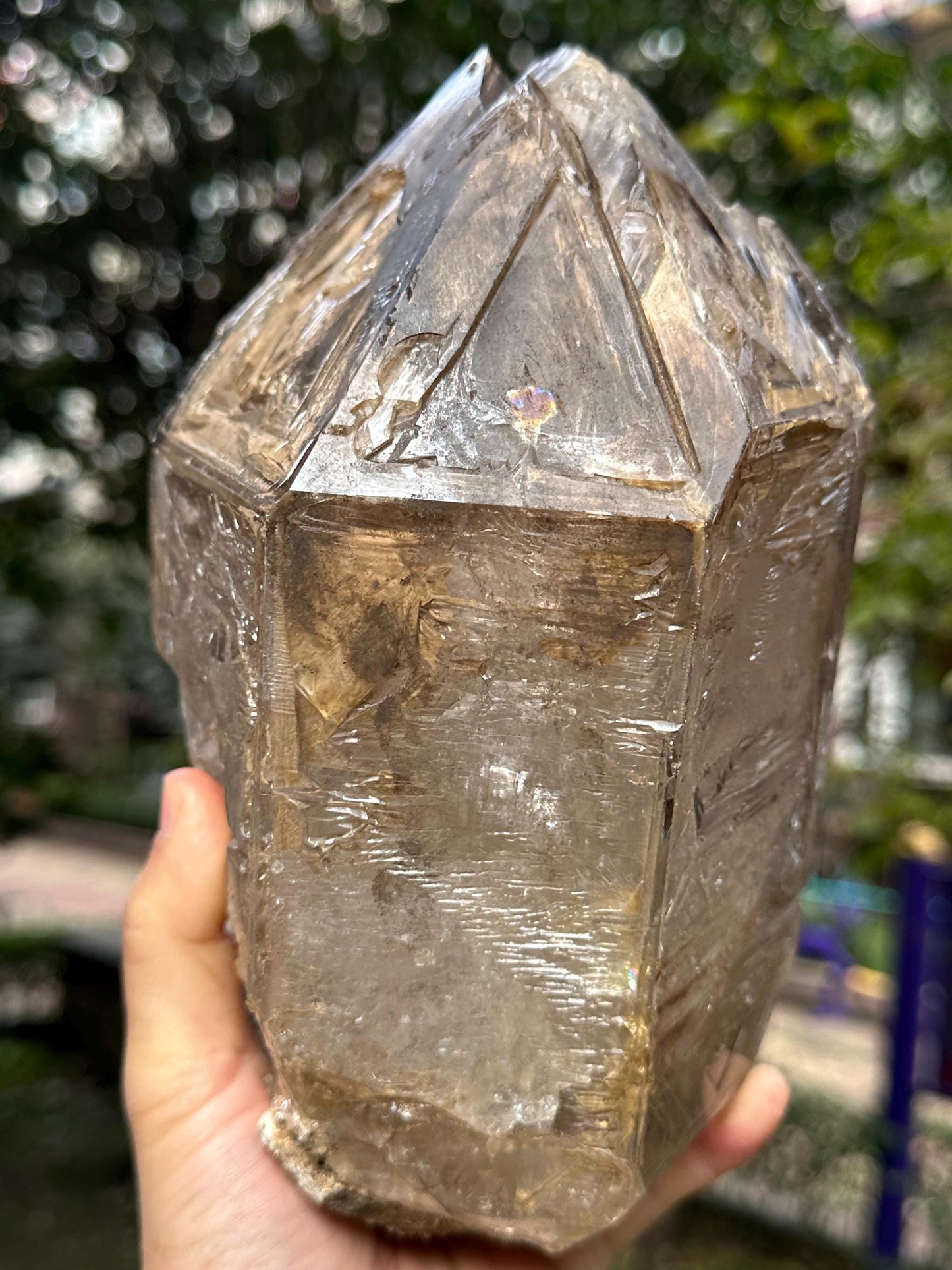 7.25 lbs Rare Himalayan Fenster Skeletal Quartz Double Terminated Crystal Specimen Collection/Super Energy Healing Crystals/Reiki-3266 g