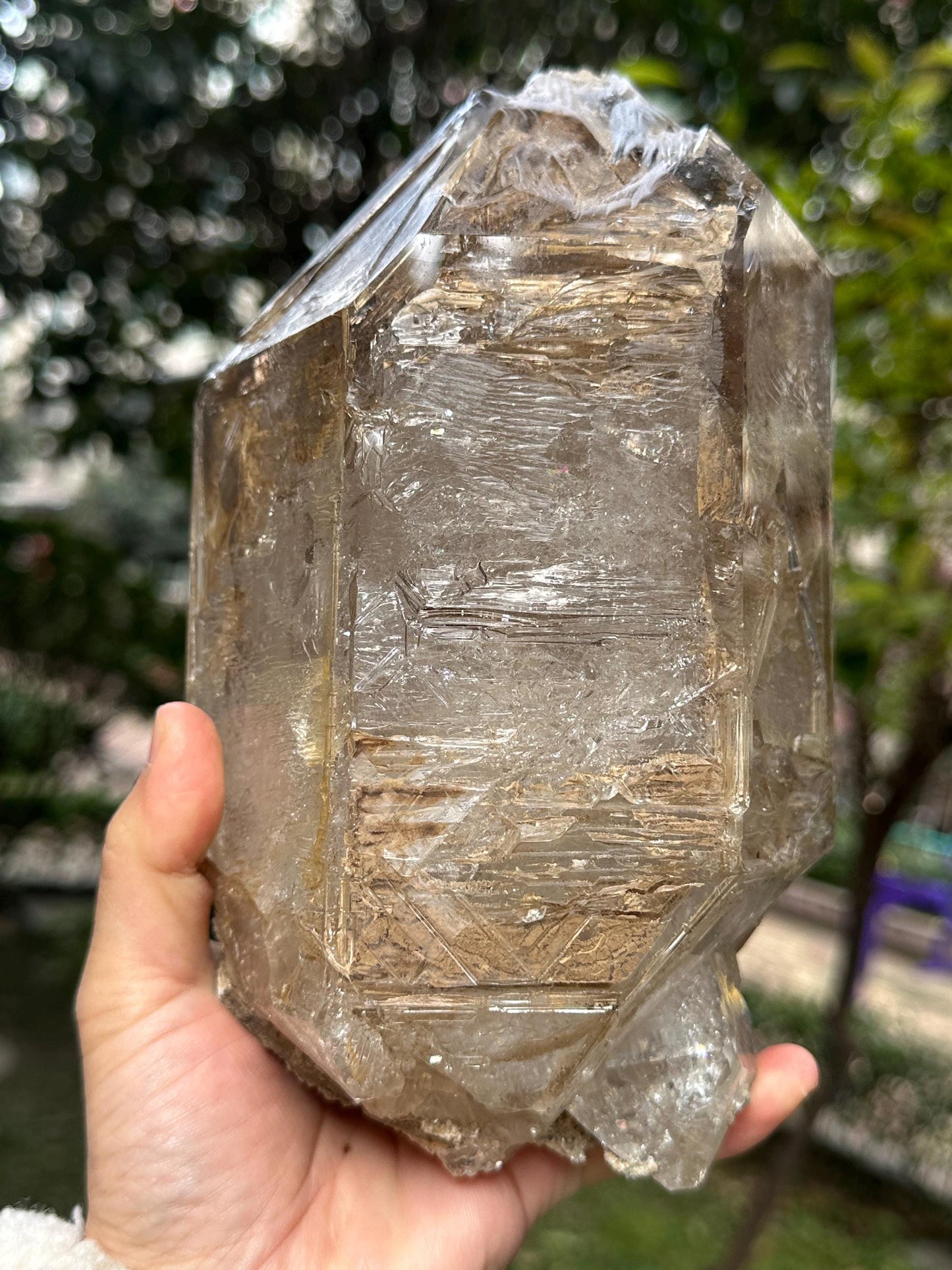 7.25 lbs Rare Himalayan Fenster Skeletal Quartz Double Terminated Crystal Specimen Collection/Super Energy Healing Crystals/Reiki-3266 g