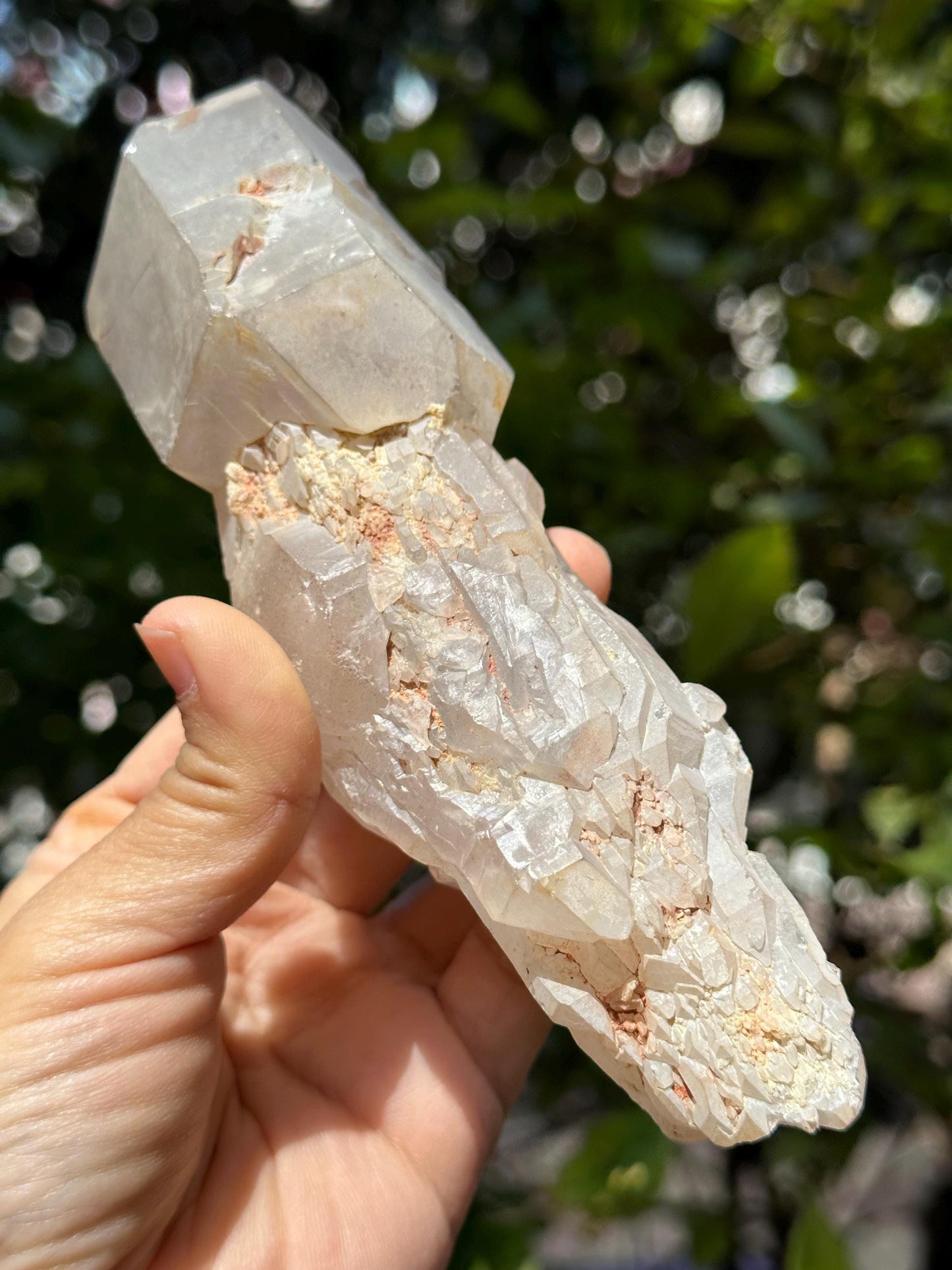 Rare Double Terminated Scepter Quartz Crystal/Energy Quartz/Meditation/Healing Crystal/Crystal Wand-387 g