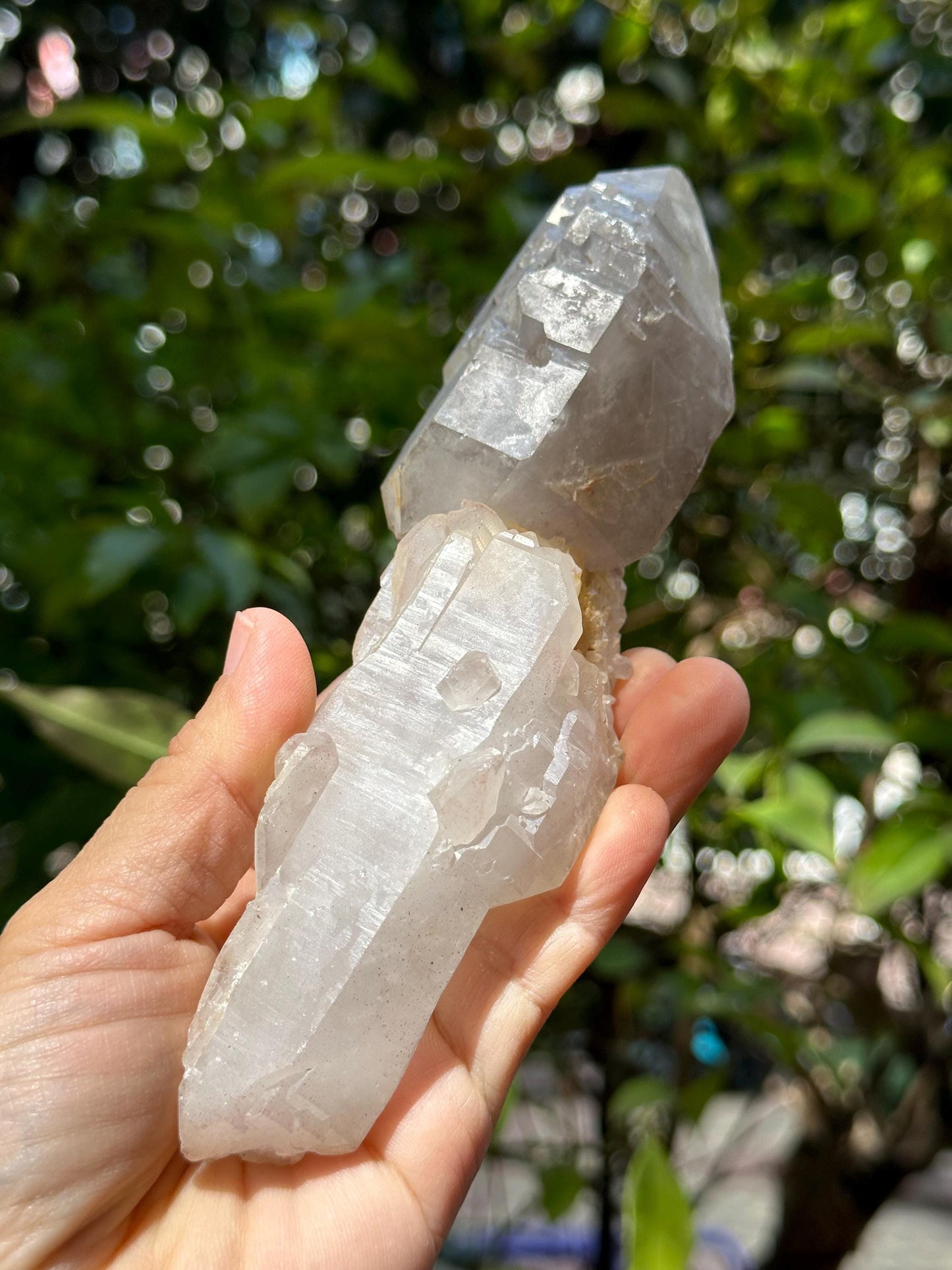 Rare Double Terminated Scepter Quartz Crystal/Energy Quartz/Meditation/Healing Crystal/Crystal Wand-387 g