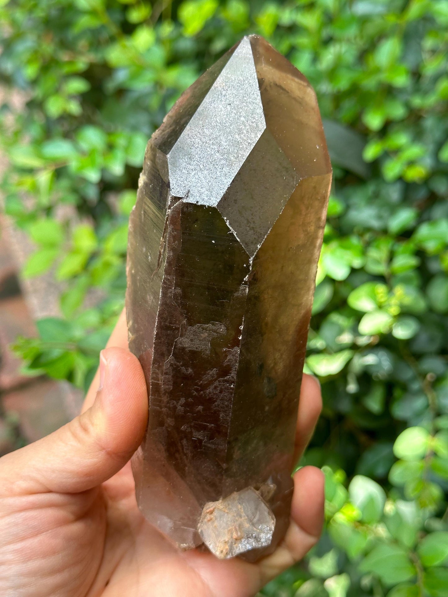 Natural Time Links Rutile Smoky Quartz Crystal/Energy Crystal/Reiki/Healing Crystal/Meditation-541 g