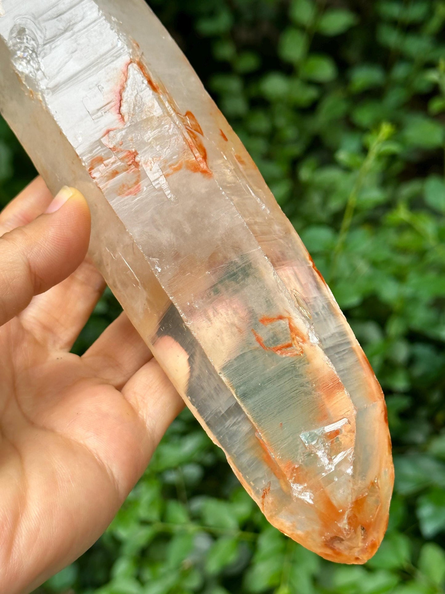 8.2" Natural Long Himalayan Double Terminated Quartz Crystal with Amphibole Included/ET Crystal Collection/Meditation/Reiki/Healing-679 g