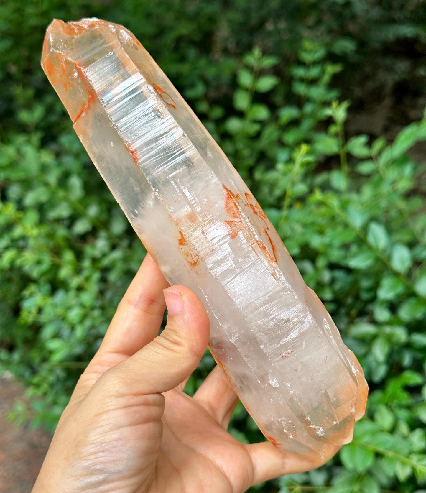 8.2" Natural Long Himalayan Double Terminated Quartz Crystal with Amphibole Included/ET Crystal Collection/Meditation/Reiki/Healing-679 g