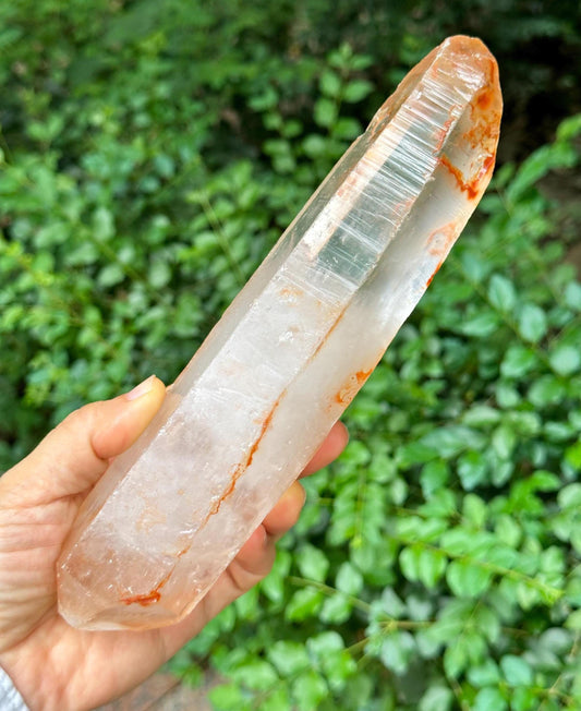 8.2" Natural Long Himalayan Double Terminated Quartz Crystal with Amphibole Included/ET Crystal Collection/Meditation/Reiki/Healing-679 g