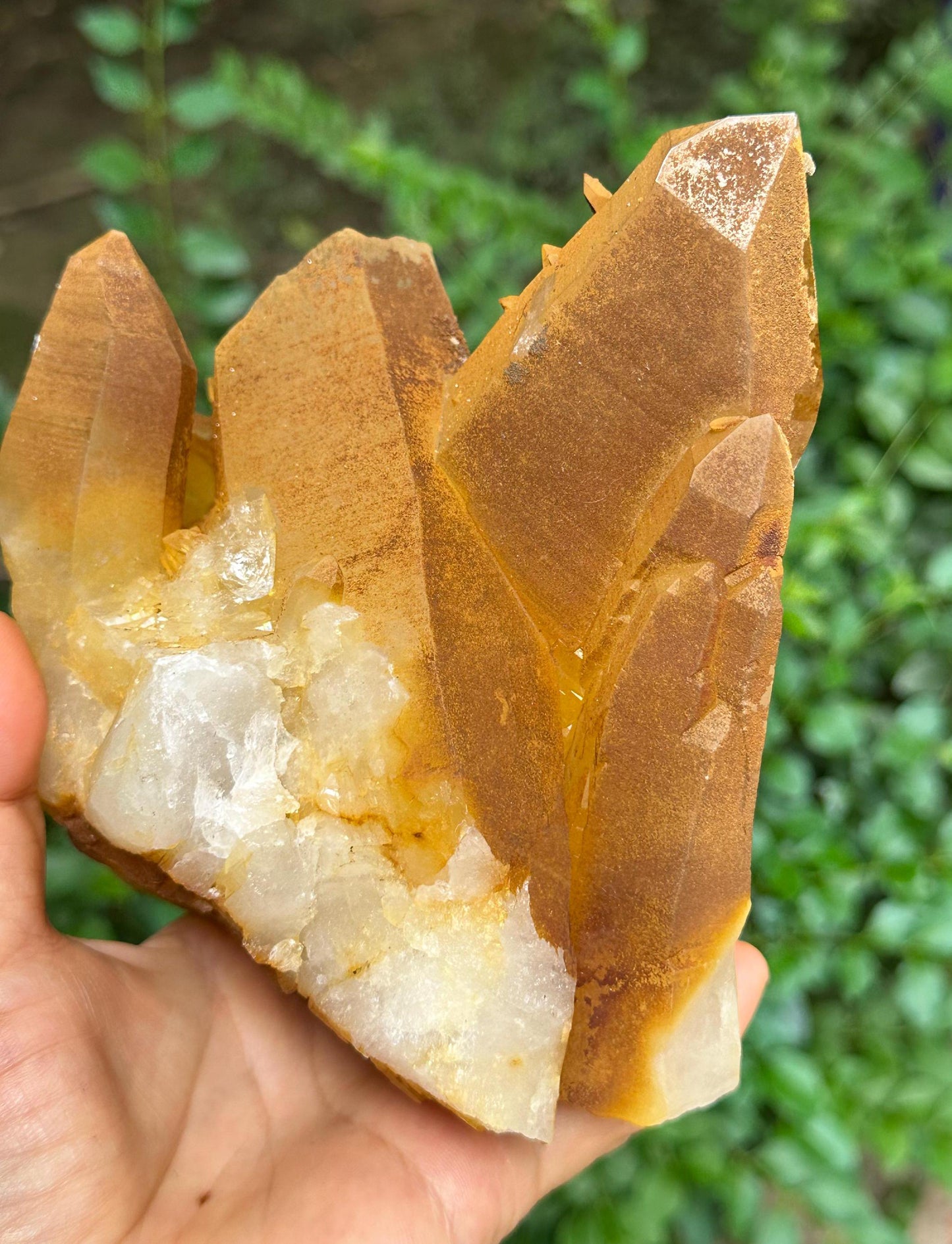 Natural Aura Golden Himalayan Quartz Crystal Cluster/Tibet Energy Crystal/Crystal Reiki/Healing/Meditation/Crystal Collection/Specimen-1216g