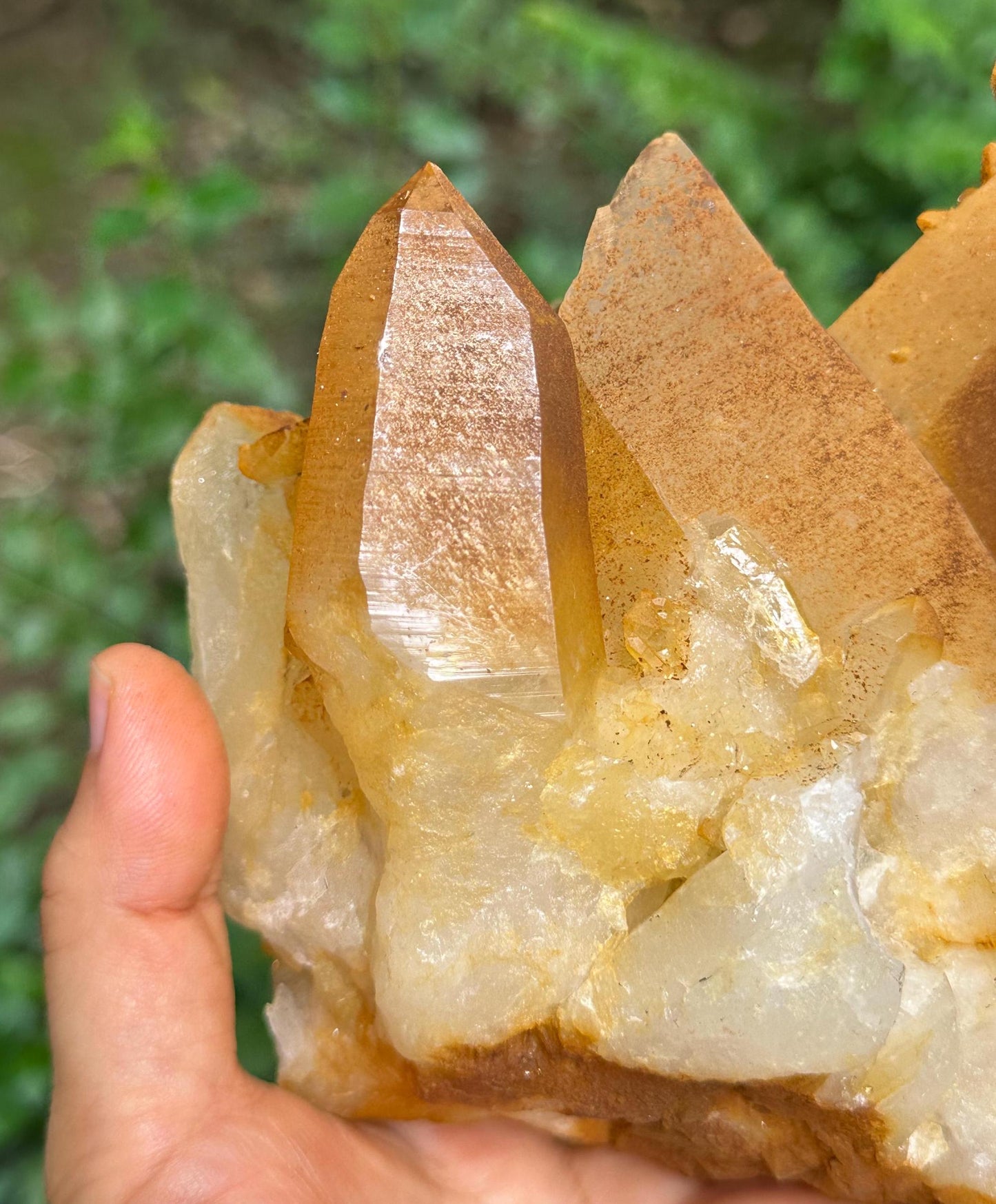 Natural Aura Golden Himalayan Quartz Crystal Cluster/Tibet Energy Crystal/Crystal Reiki/Healing/Meditation/Crystal Collection/Specimen-1216g