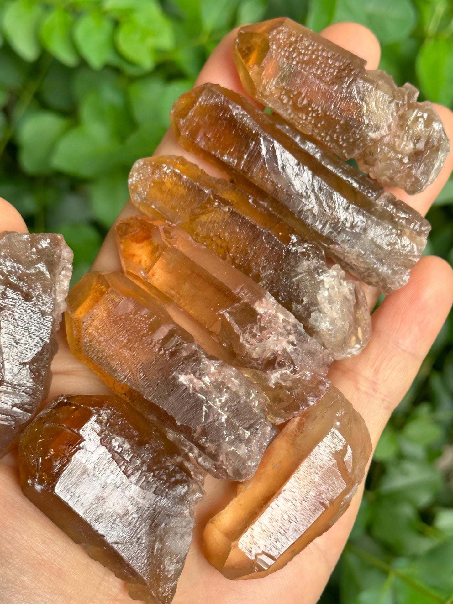 You Pick! Natural Nirvana Citrine Quartz Crystal/Self-healed Crystal/Erosioned Energy Crystal/Dissolution Crystal/Reiki/Healing/Meditation