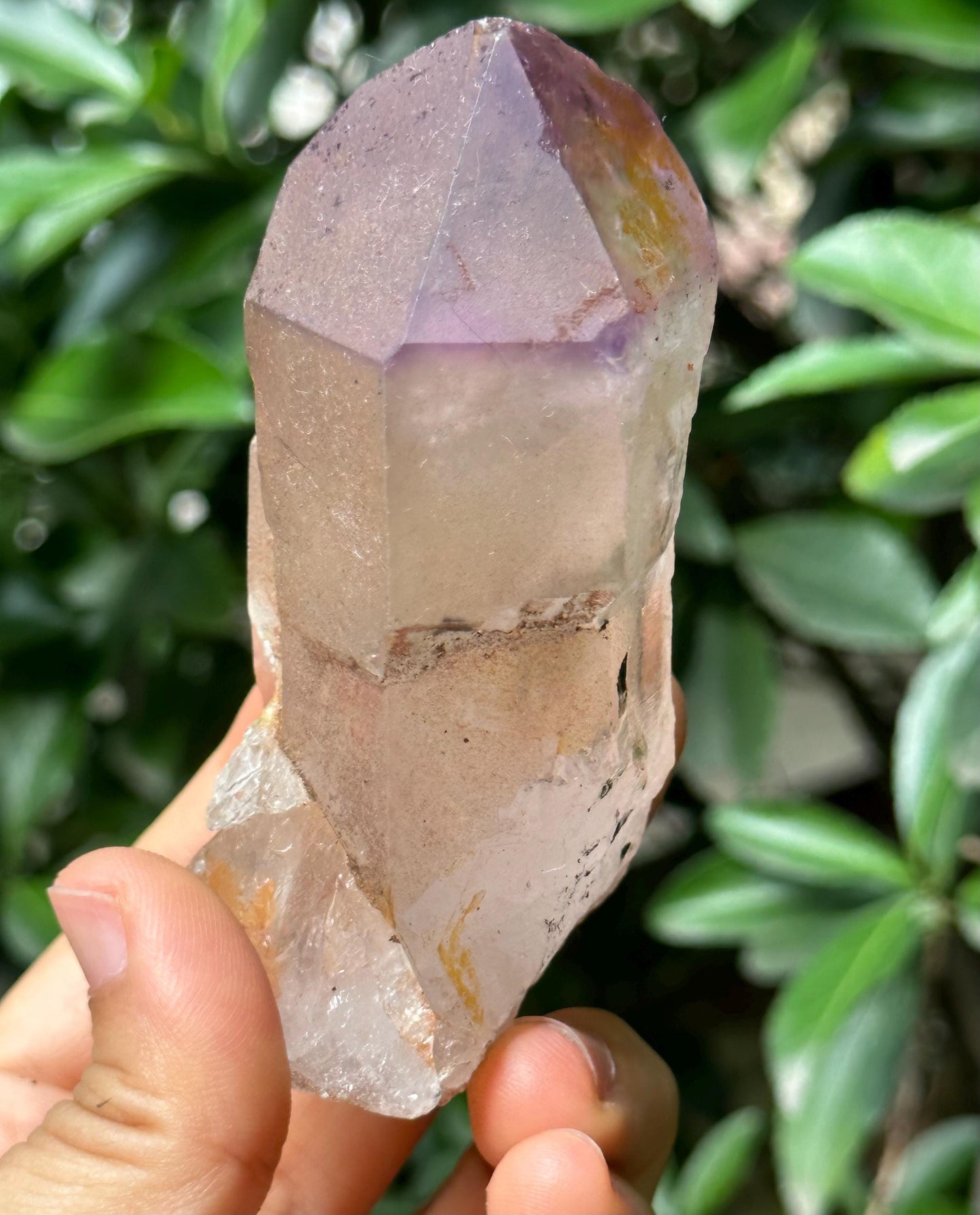 Clear Scepter Amethyst Quartz Crystal/Energy Quartz/Meditation/Healing Crystal/Crystal Wand-175 g