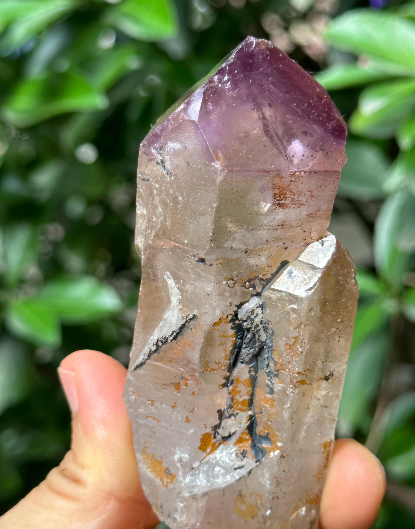 Clear Scepter Amethyst Quartz Crystal/Energy Quartz/Meditation/Healing Crystal/Crystal Wand-175 g