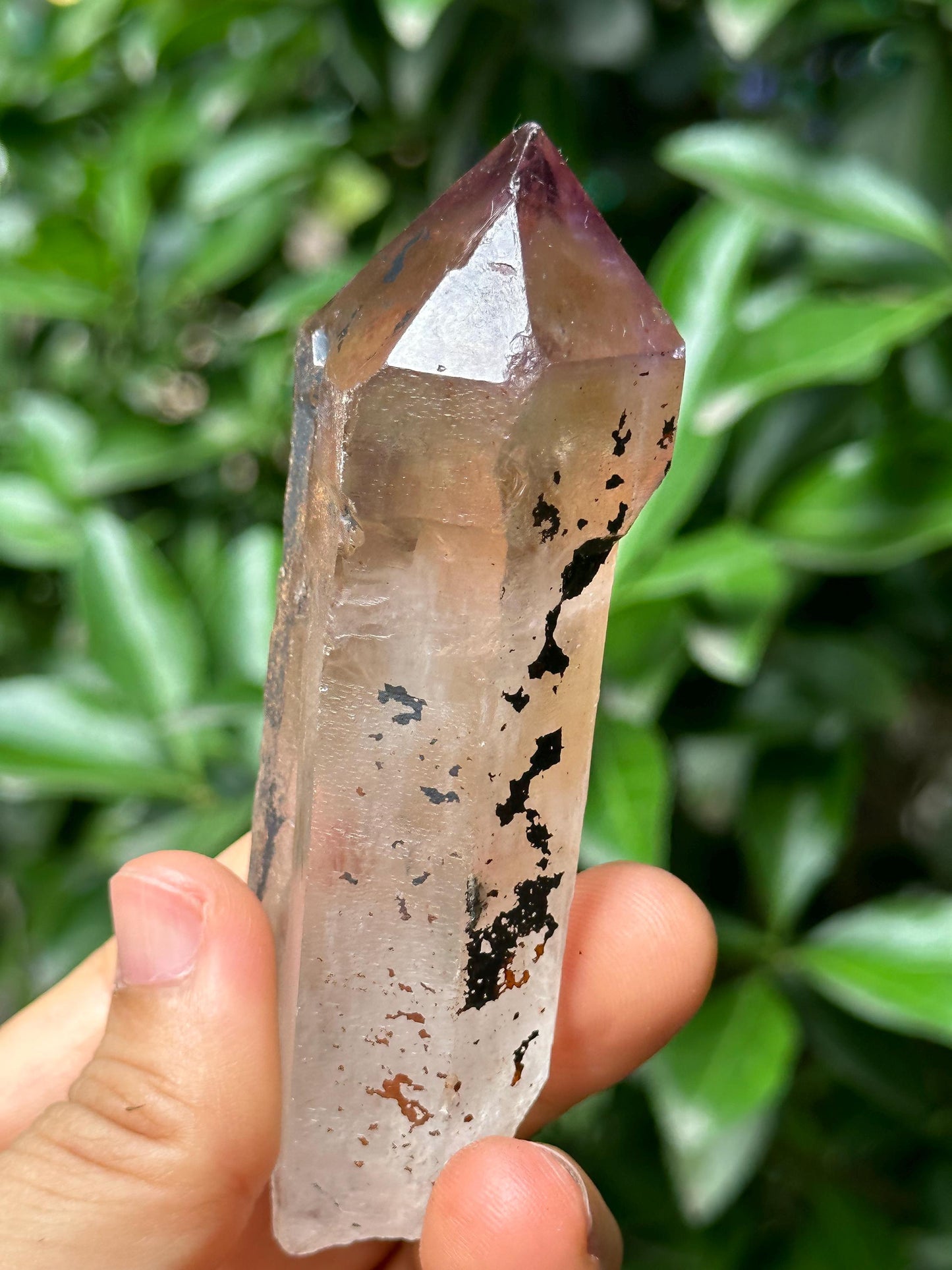 Clear Scepter Amethyst Quartz Crystal/Energy Quartz/Meditation/Healing Crystal/Crystal Wand-113 g