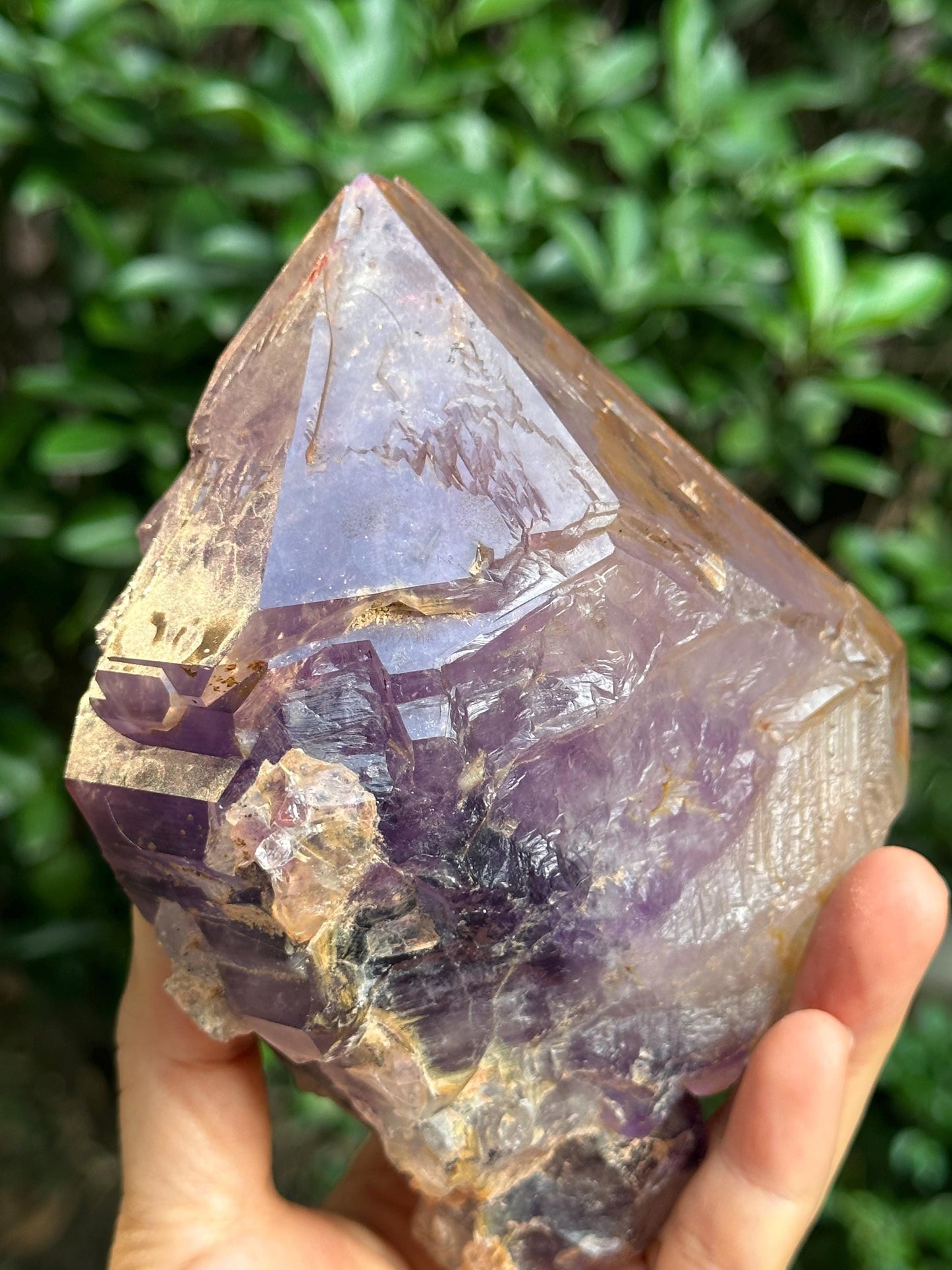 2.4 lbs Rare Skeletal Fenster Amethyst Quartz Scepter Crystal Point+ Wooden Base/Specimen/Super Energy Healing Crystals/Reiki-1093 g