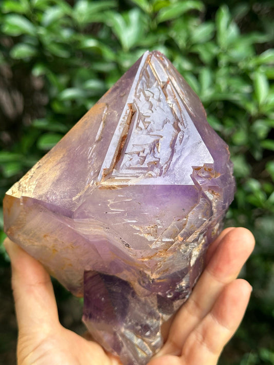 2.4 lbs Rare Skeletal Fenster Amethyst Quartz Scepter Crystal Point+ Wooden Base/Specimen/Super Energy Healing Crystals/Reiki-1093 g