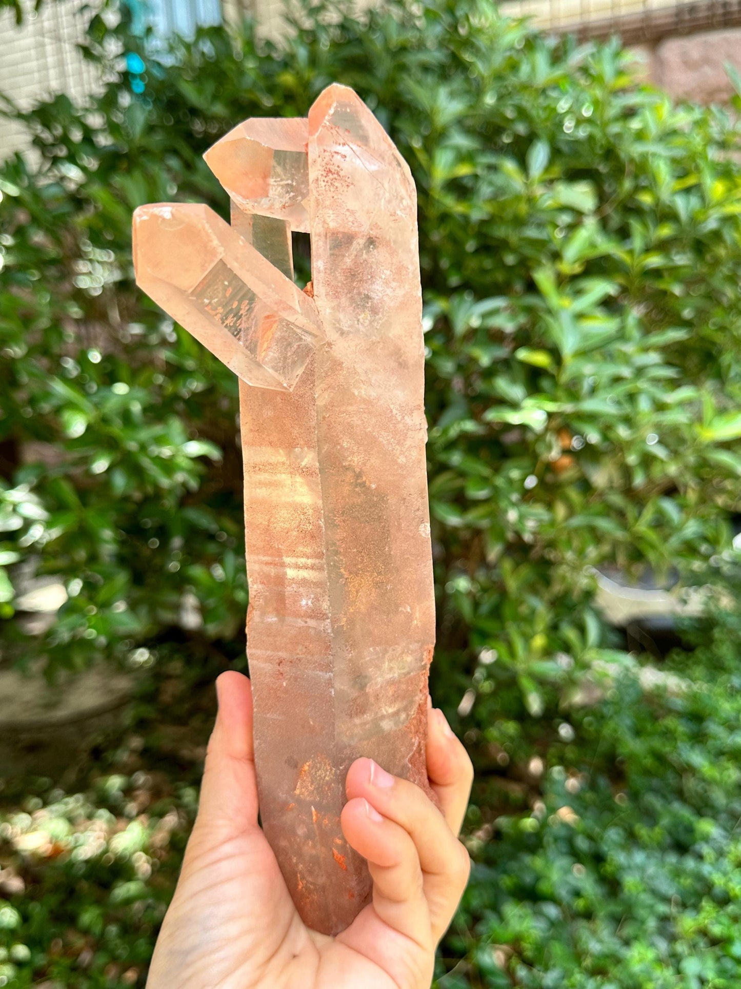 2.5 lbs Rare Unique Bridge Quartz Crystal Point/Penetrator Crystals/Energy Quartz/Meditation/Healing Crystal-1127 g