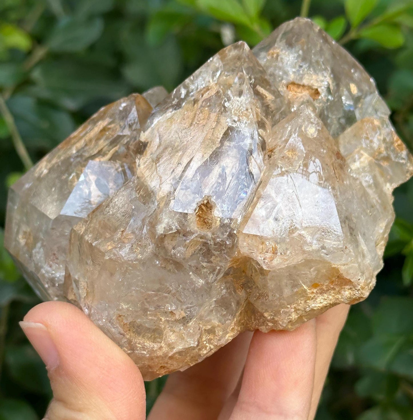 307 g Clear Himalayan Record-keeper Skeletal Quartz Fenster Crystal Cluster/Energy Crystal/Inclusion Quartz/Crystal Healing