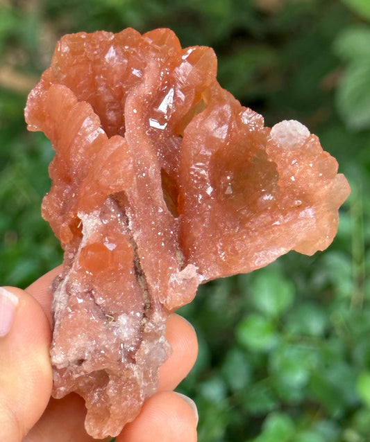 Shining Tangerine Rose Quartz Flower Crystal Cluster/Red Hematite Quartz Crystal/Abundance Crystals/Crystal Collection/Healing Crystal-66 g