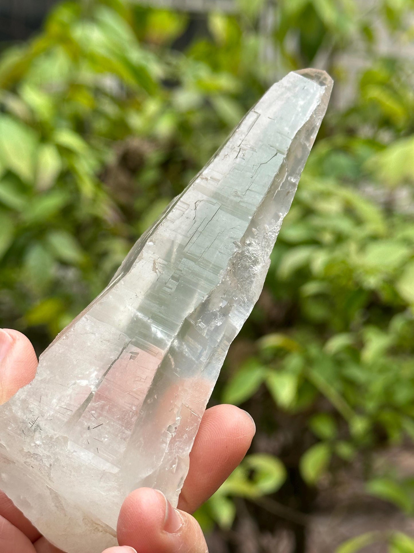 Himalayan Laser Quartz Crystal Wand/Pakistan Energy/Castle Crystal Reiki/Healing/Meditation/Crystal Collection/Generator Crystal -221 g