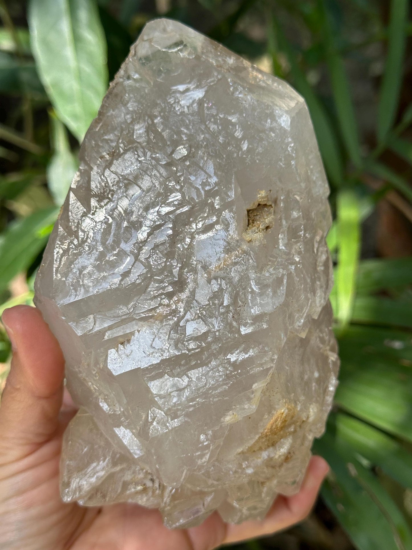 Large Himalayan Double Terminated Skeletal Quartz Single Crystal Point with Floating Crystals/Yungui Energy Crystal/Healing/Meditation-1642g