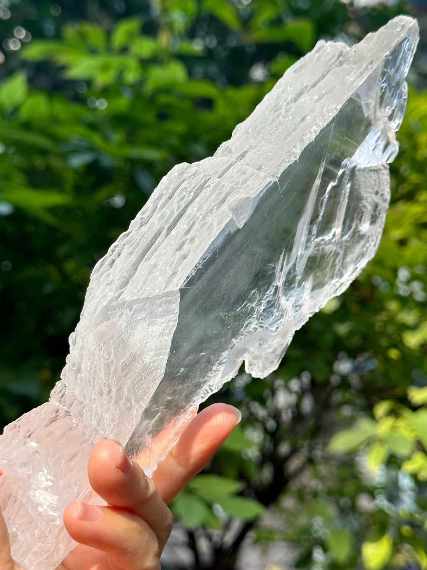 Natural Clear Gypsum Crystal Quartz Point/White Raw Selenite Crystal/Crystal Grid/Special gift/Meditation Stone/Gift for Her/Reiki-759 g