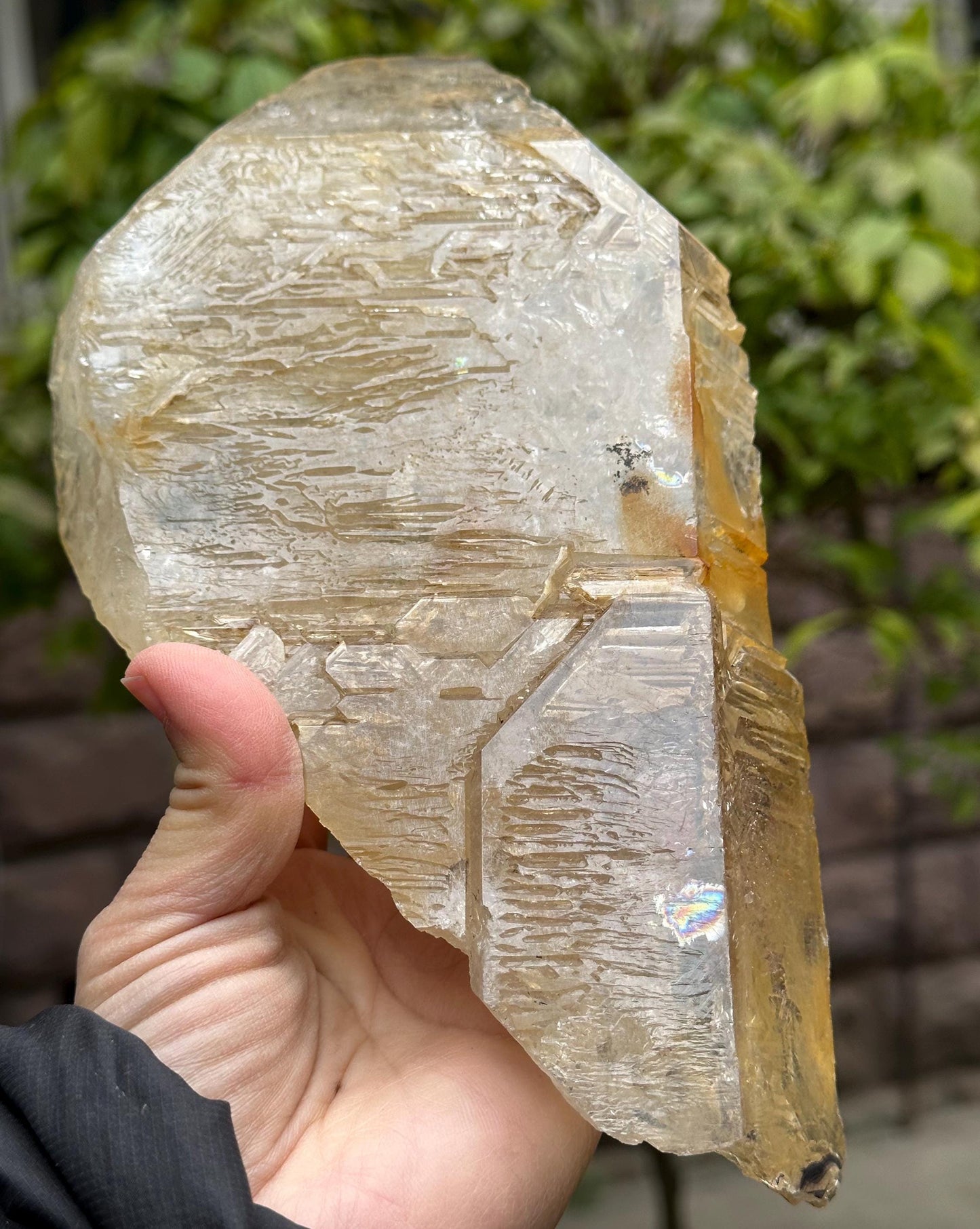 2.47 lbs Rare Himalayan Golden Skeletal Quartz Elestial Crystal Point With Golden Clay/Specimen/Super Energy Healing Crystals/Reiki-1114 g