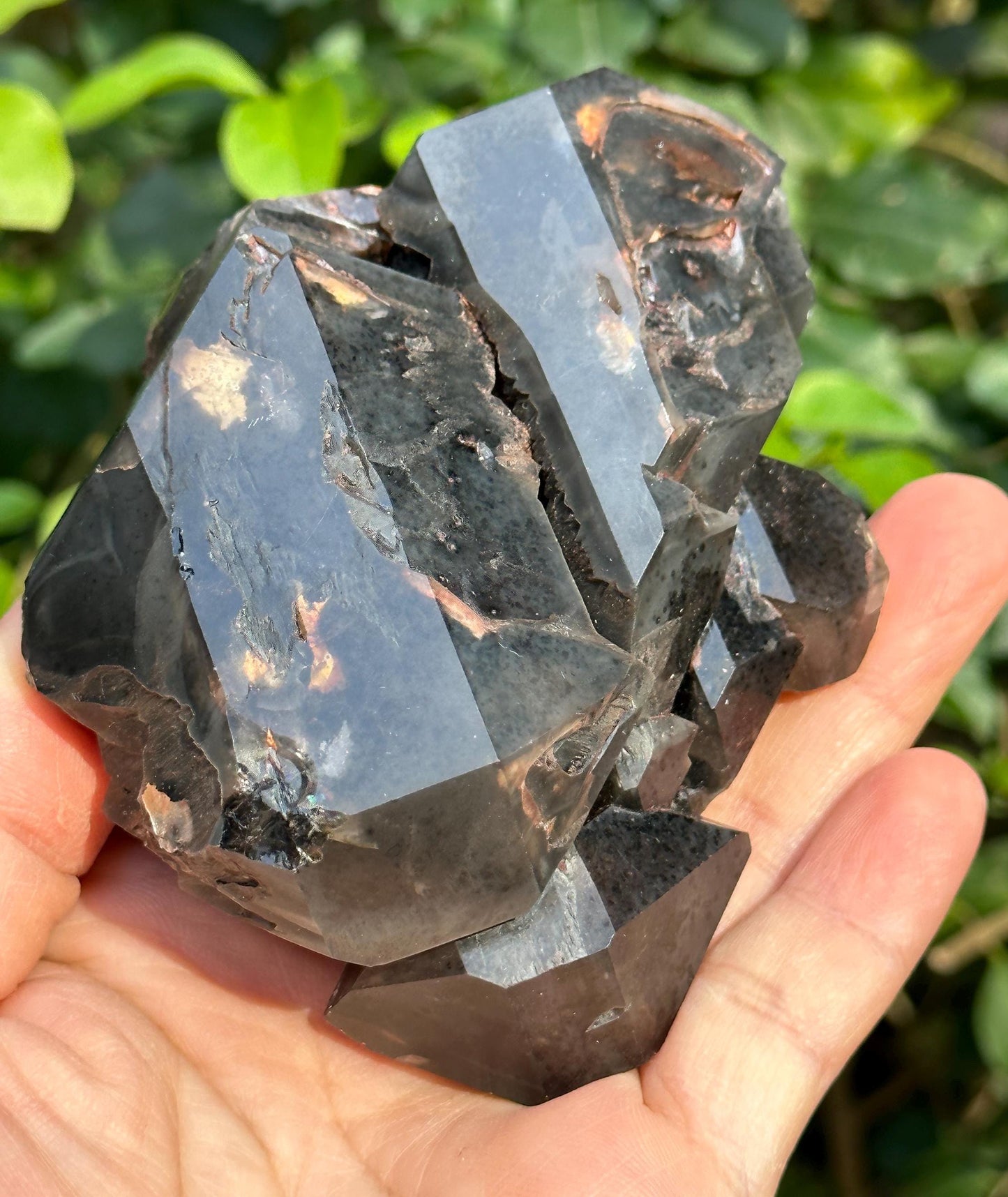 Rare Double Terminated Elestial Skeletal Dark Smoky Amethyst Quartz Crystal/Crystal Specimen/Super Energy Healing Crystals/Reiki-292 g