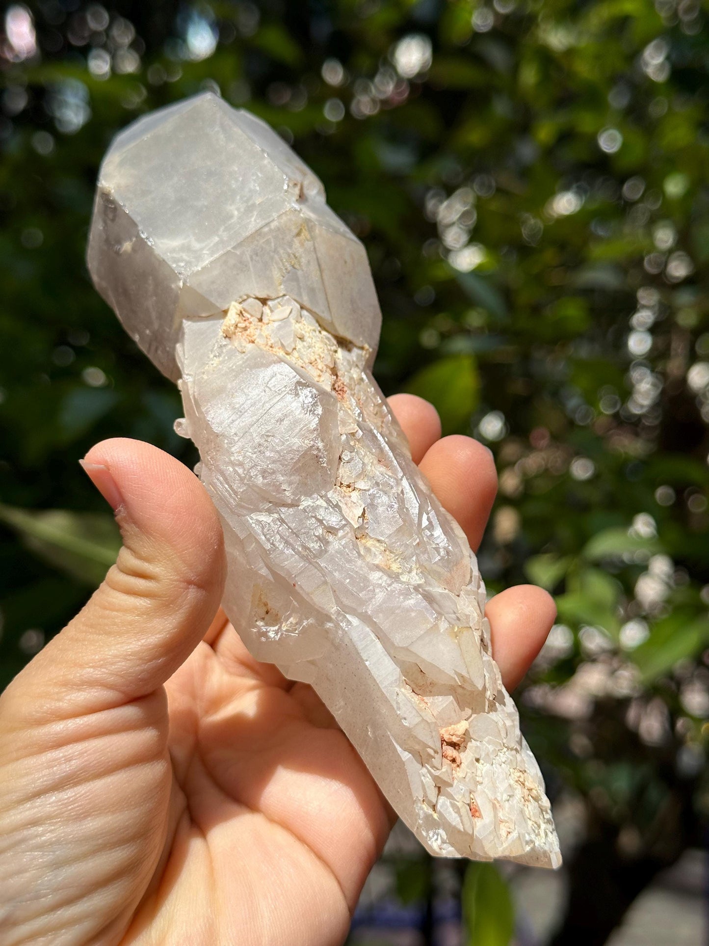 Rare Double Terminated Scepter Quartz Crystal/Energy Quartz/Meditation/Healing Crystal/Crystal Wand-387 g