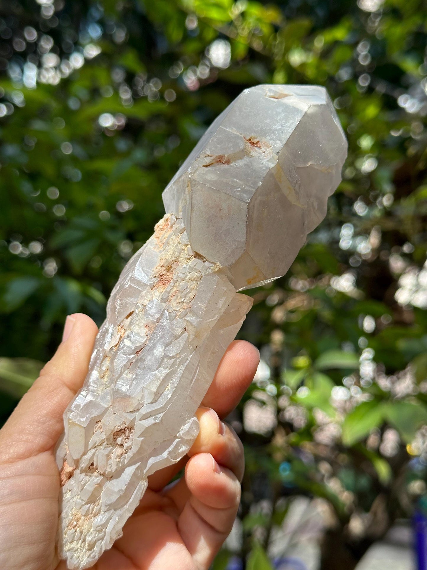 Rare Double Terminated Scepter Quartz Crystal/Energy Quartz/Meditation/Healing Crystal/Crystal Wand-387 g