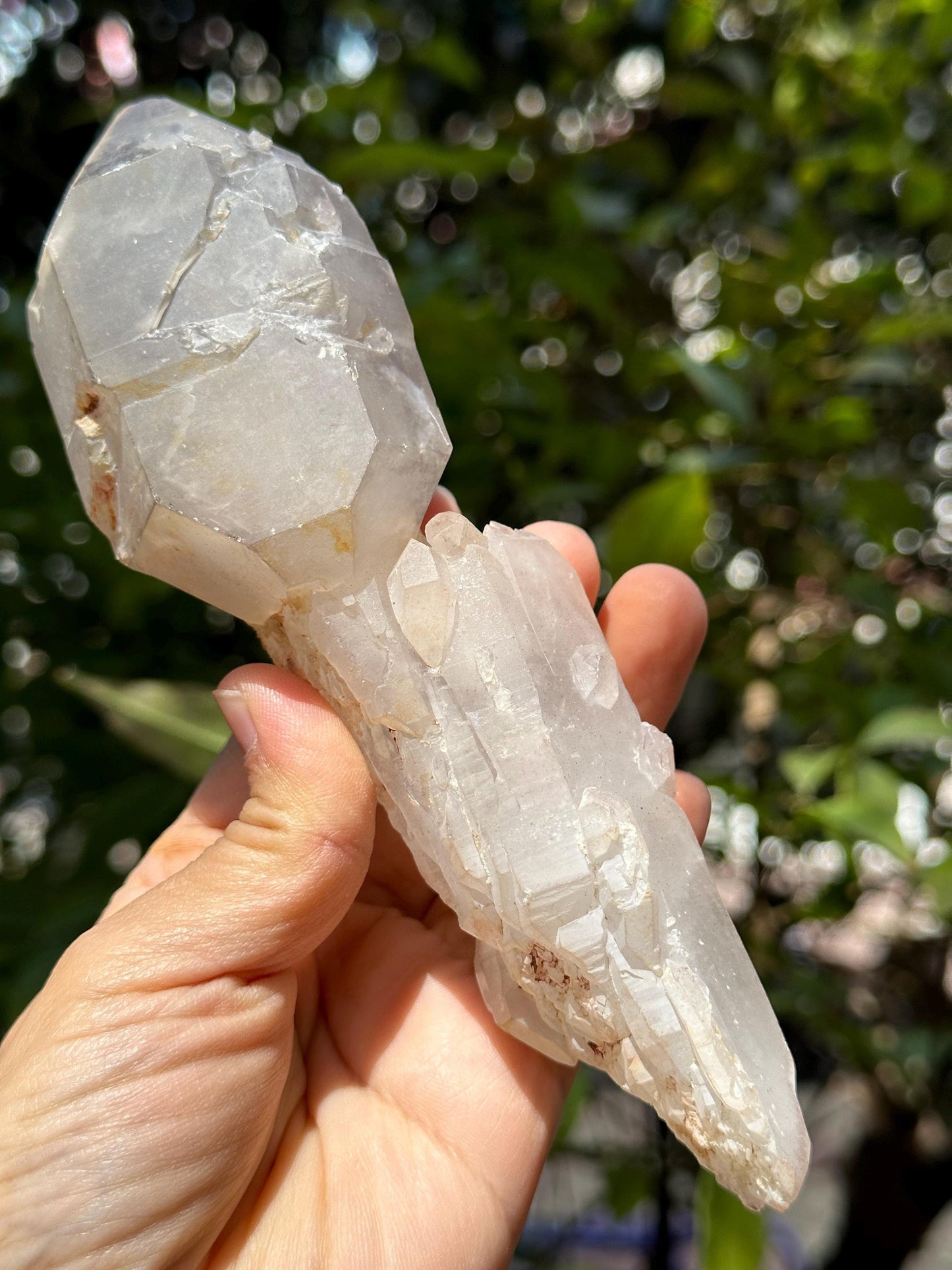 Rare Double Terminated Scepter Quartz Crystal/Energy Quartz/Meditation/Healing Crystal/Crystal Wand-387 g