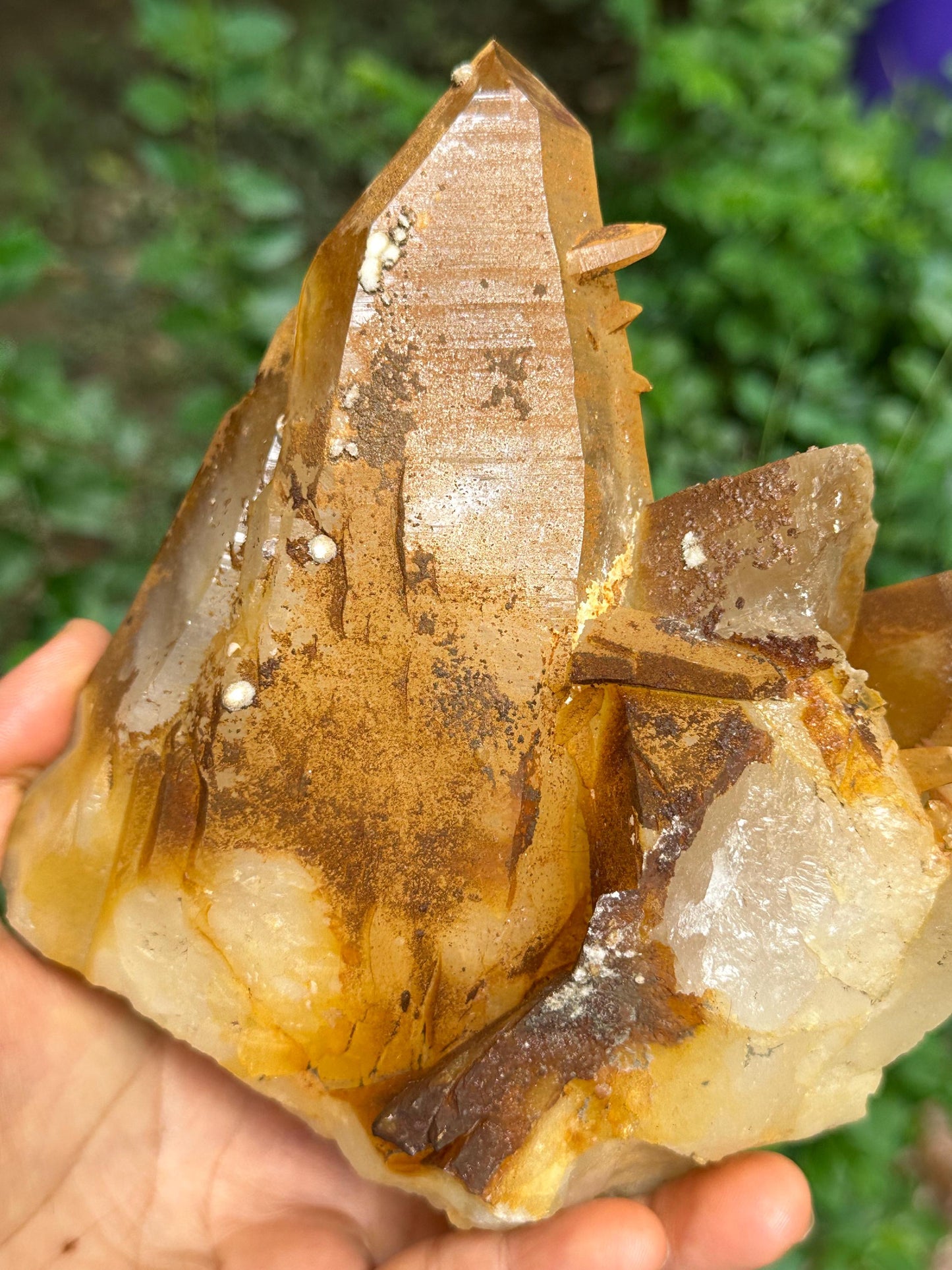 Natural Aura Golden Himalayan Quartz Crystal Cluster/Tibet Energy Crystal/Crystal Reiki/Healing/Meditation/Crystal Collection/Specimen-1216g