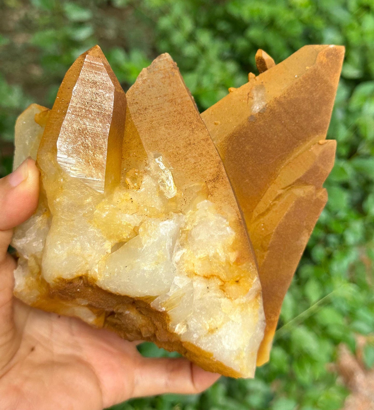 Natural Aura Golden Himalayan Quartz Crystal Cluster/Tibet Energy Crystal/Crystal Reiki/Healing/Meditation/Crystal Collection/Specimen-1216g