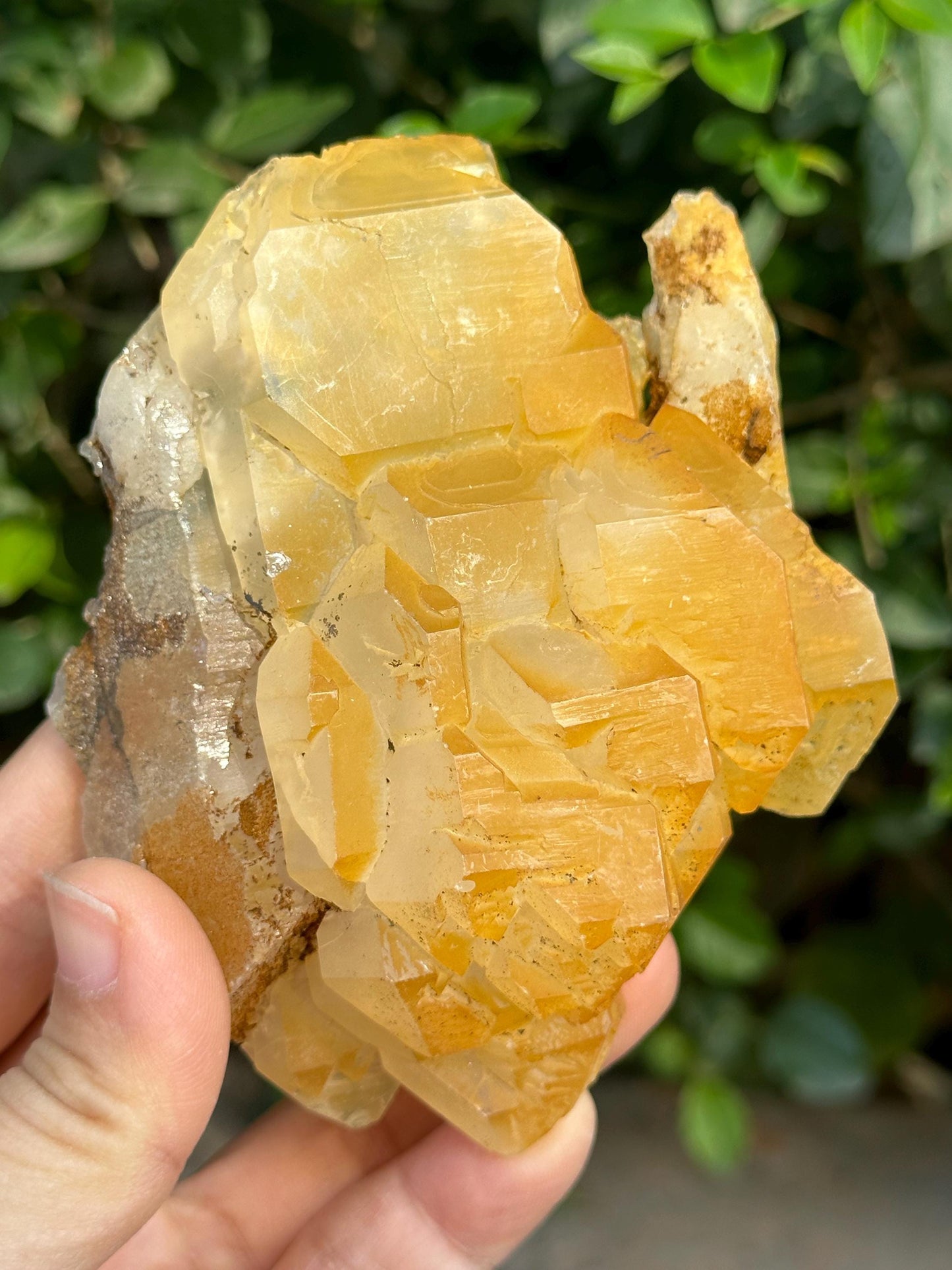 Elestial Golden Himalayan Quartz Double Terminated Aura Crystal/Tibet Energy Crystal/Reiki/Healing/Meditation/Collection/Specimen-278 g