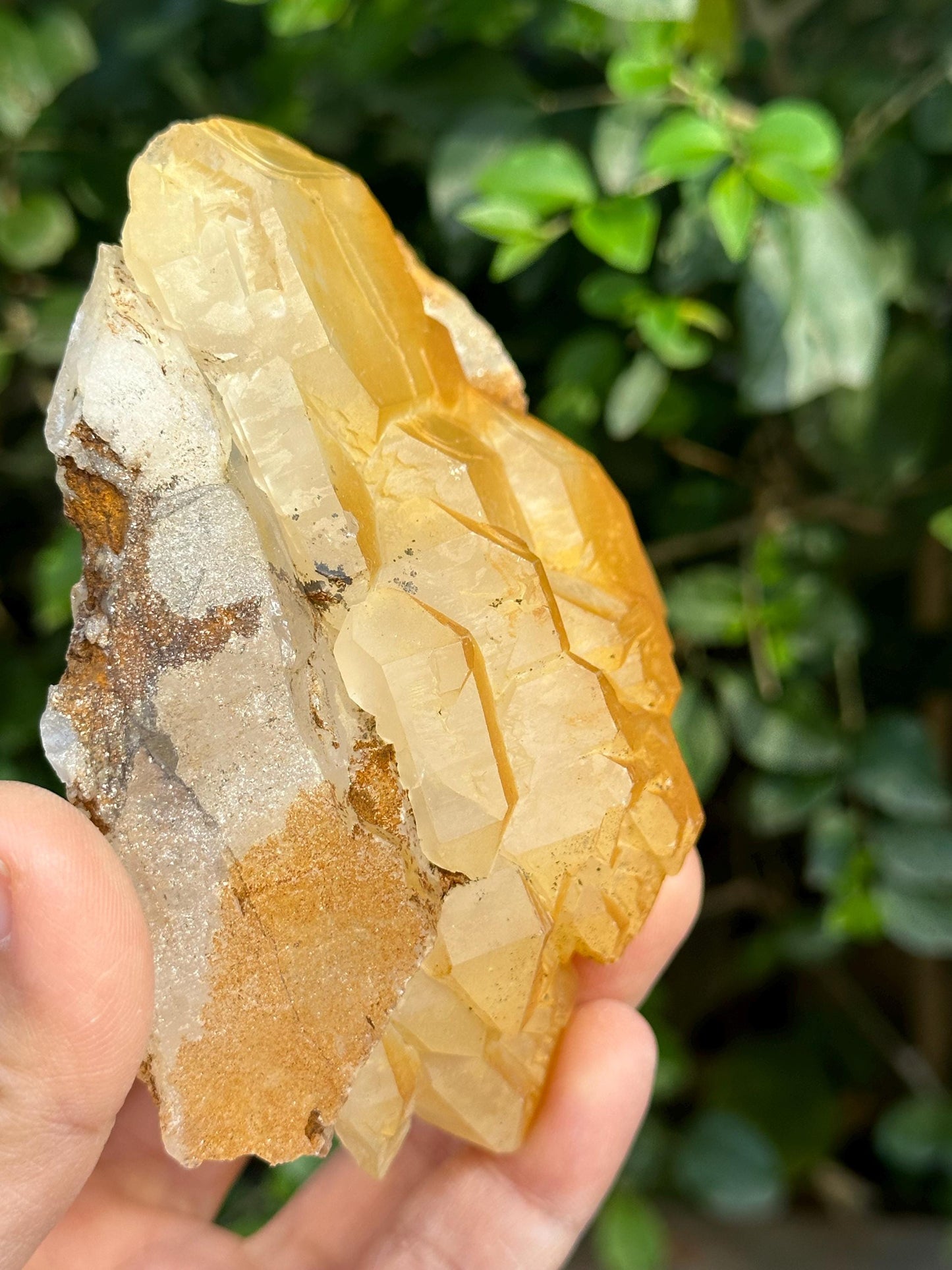 Elestial Golden Himalayan Quartz Double Terminated Aura Crystal/Tibet Energy Crystal/Reiki/Healing/Meditation/Collection/Specimen-278 g