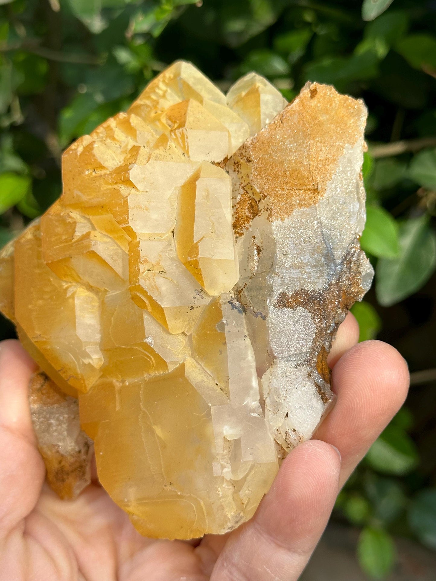 Elestial Golden Himalayan Quartz Double Terminated Aura Crystal/Tibet Energy Crystal/Reiki/Healing/Meditation/Collection/Specimen-278 g