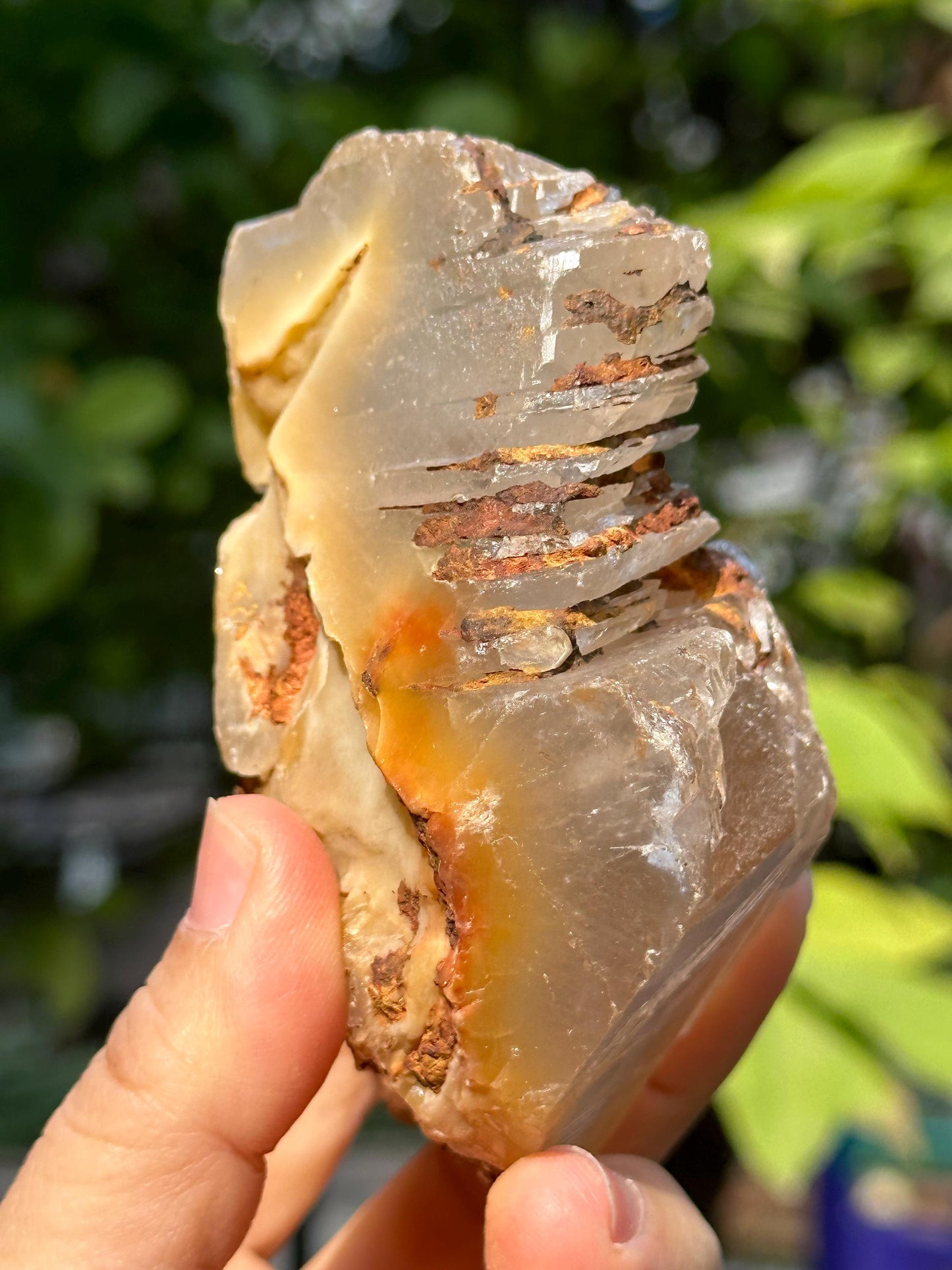 Natural Growth Interference Quartz Crystal Point with Amphibole Included/Golden Angel's Wing Rutile Crystal Specimen/Meditation Stone-359g